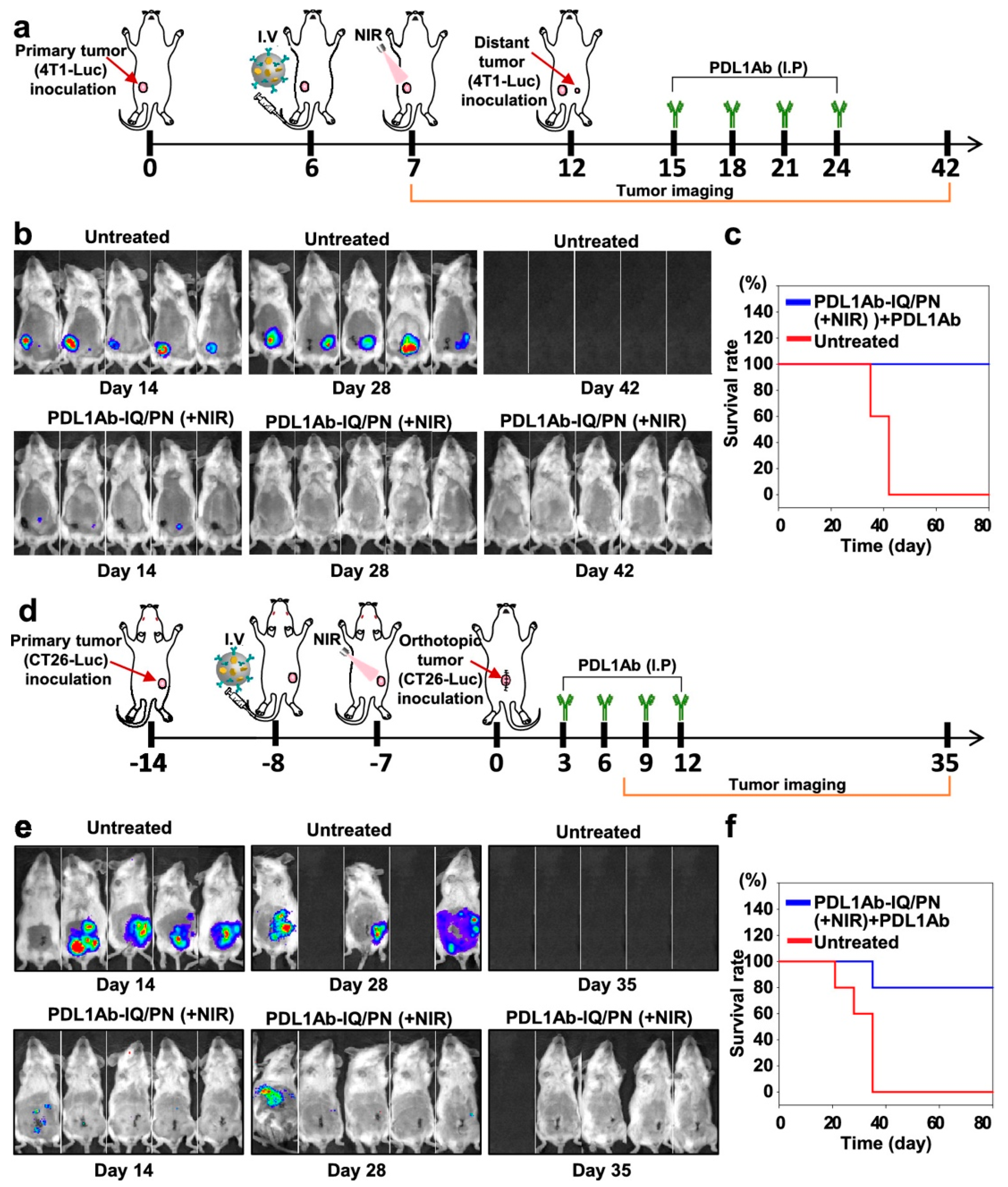 Pharmaceutics 14 01448 g007 Pharmaceutics 14 01448 g007