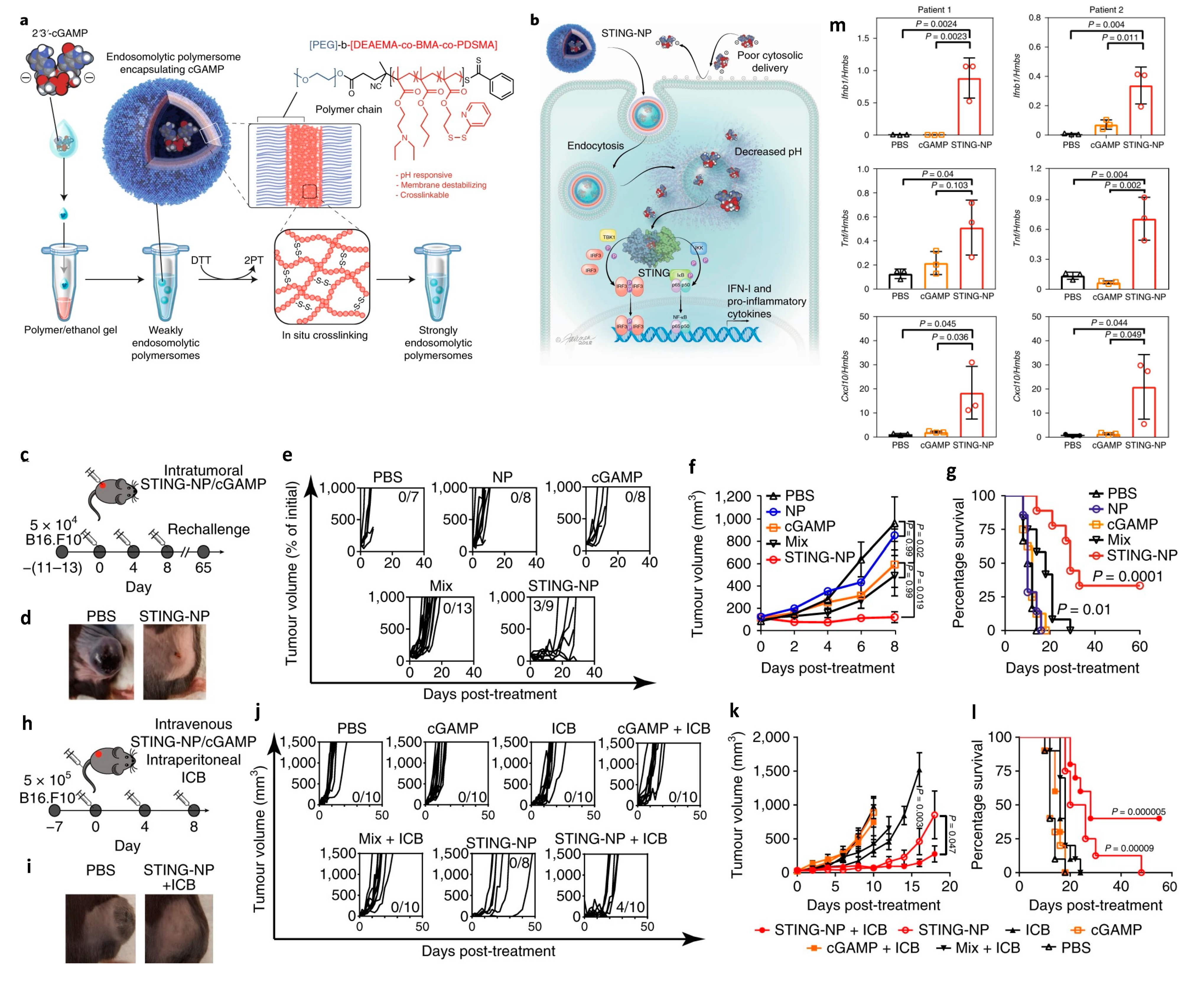 Pharmaceutics 14 01448 g009 Pharmaceutics 14 01448 g009