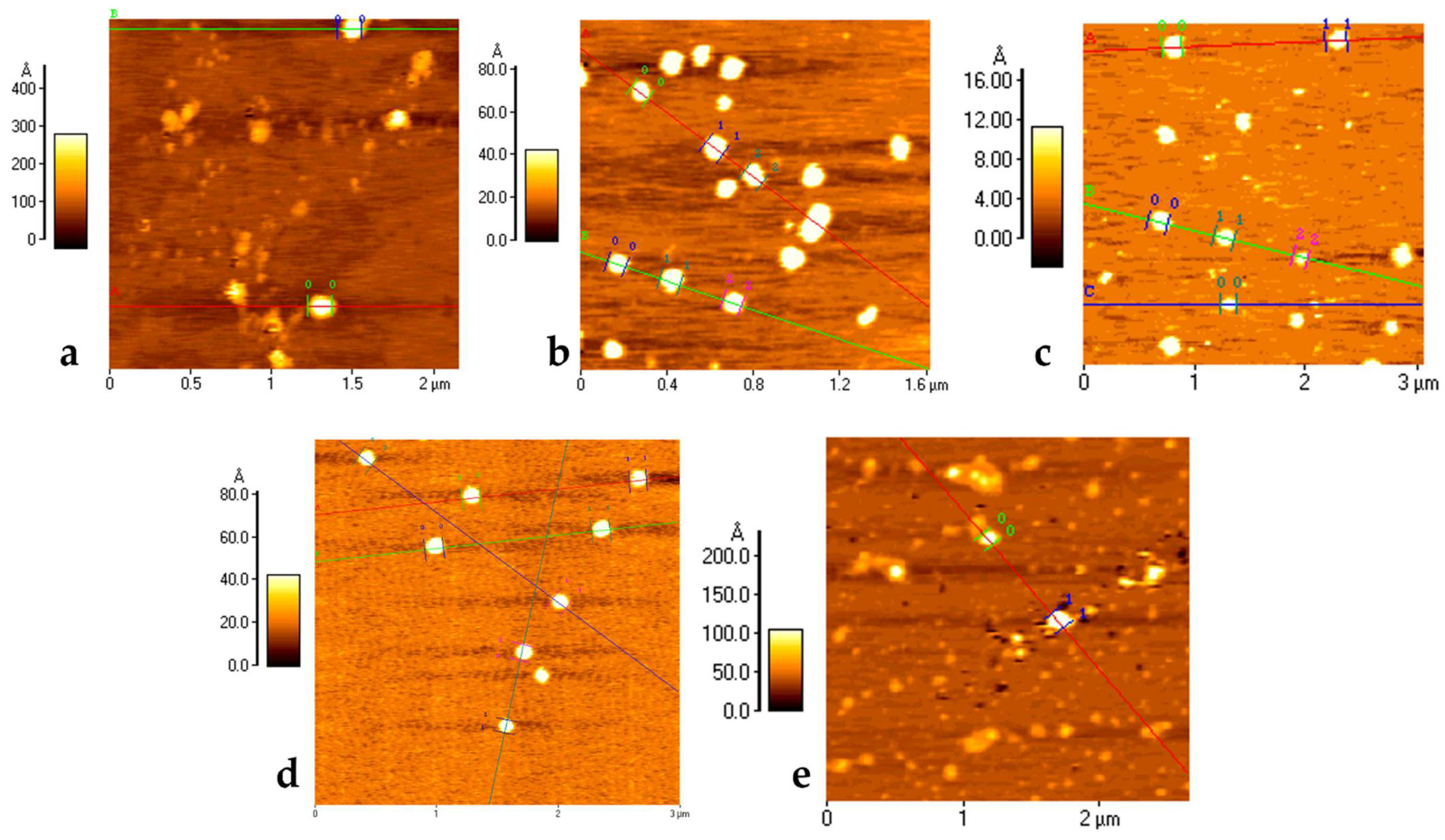 Pharmaceutics 14 01450 g001