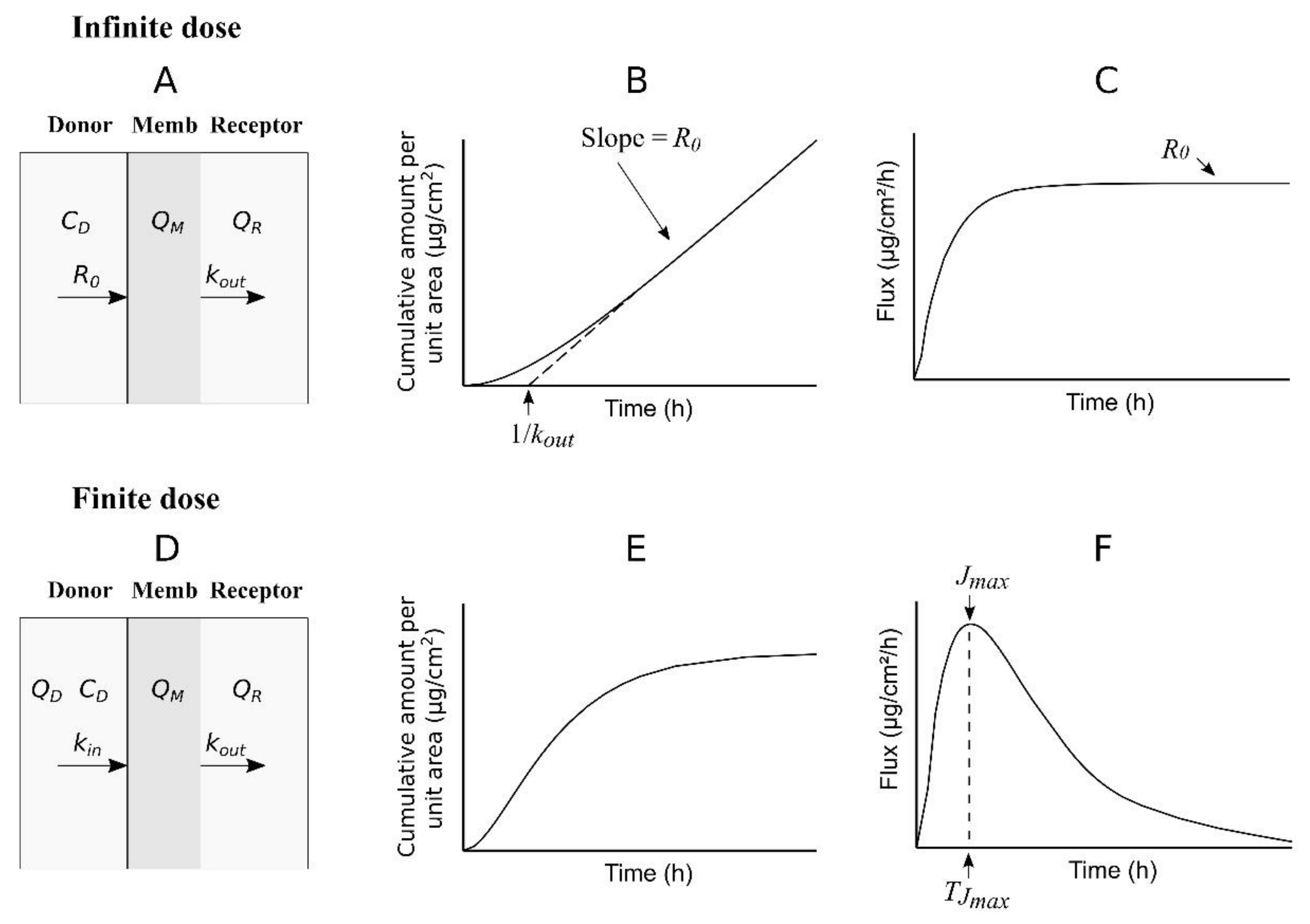 Pharmaceutics 14 01457 g002