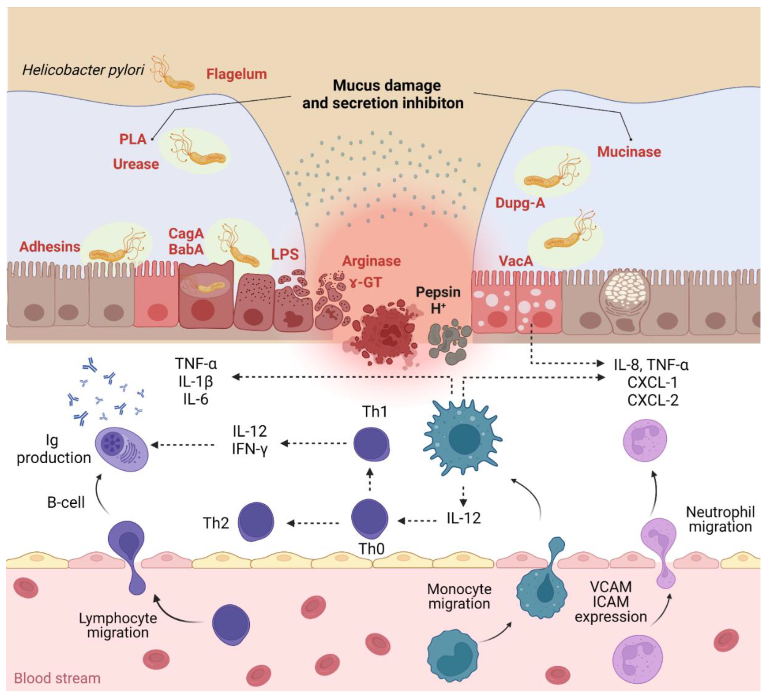 Pharmaceutics 14 01463 g001