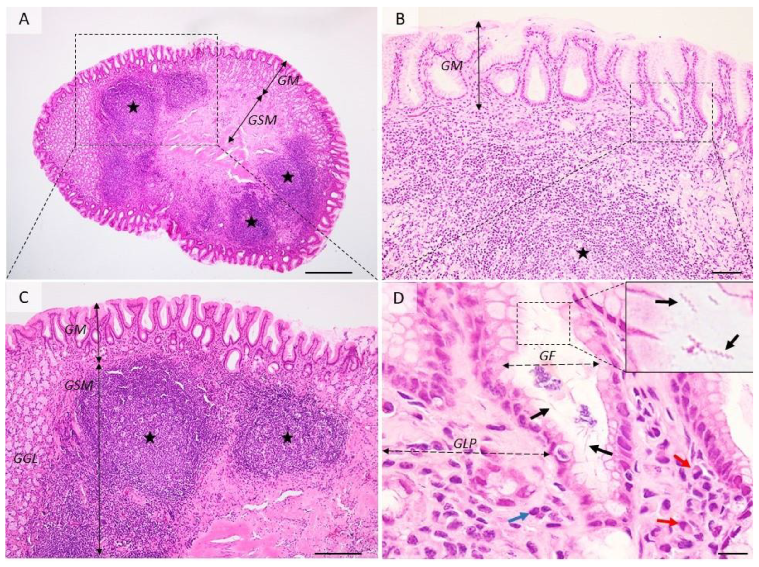 Pharmaceutics 14 01463 g002