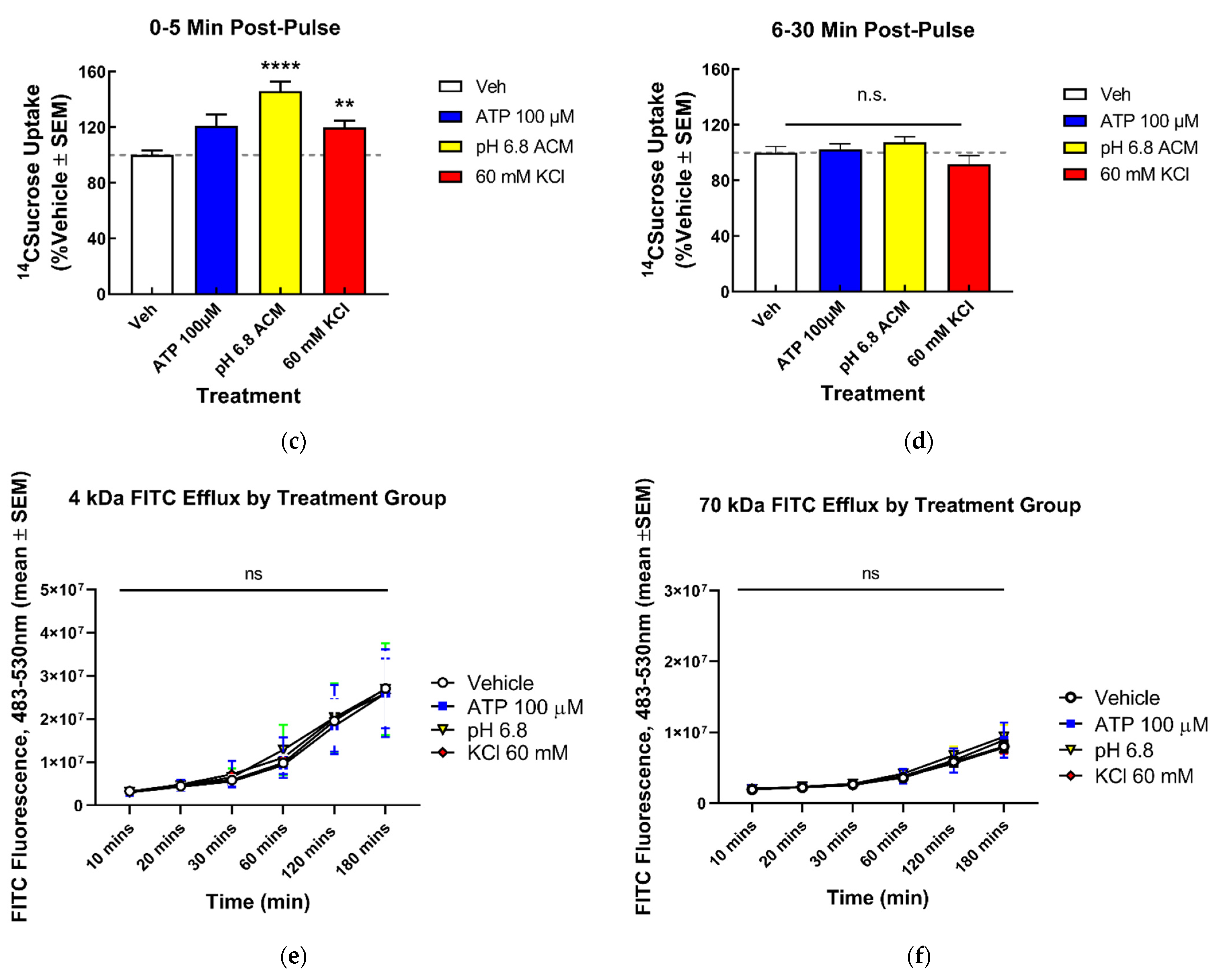 Pharmaceutics 14 01469 g001b Pharmaceutics 14 01469 g001b