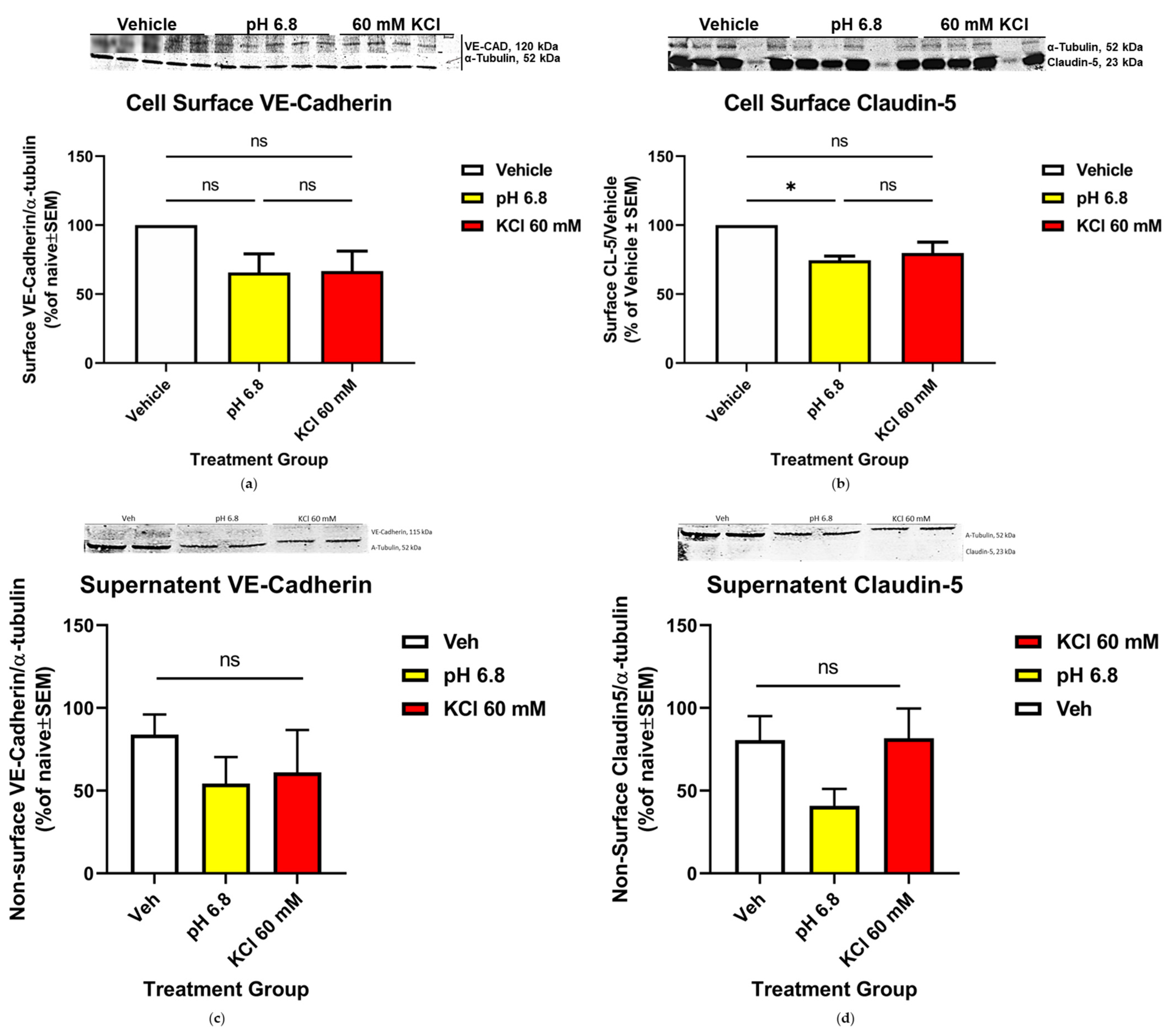 Pharmaceutics 14 01469 g003 Pharmaceutics 14 01469 g003