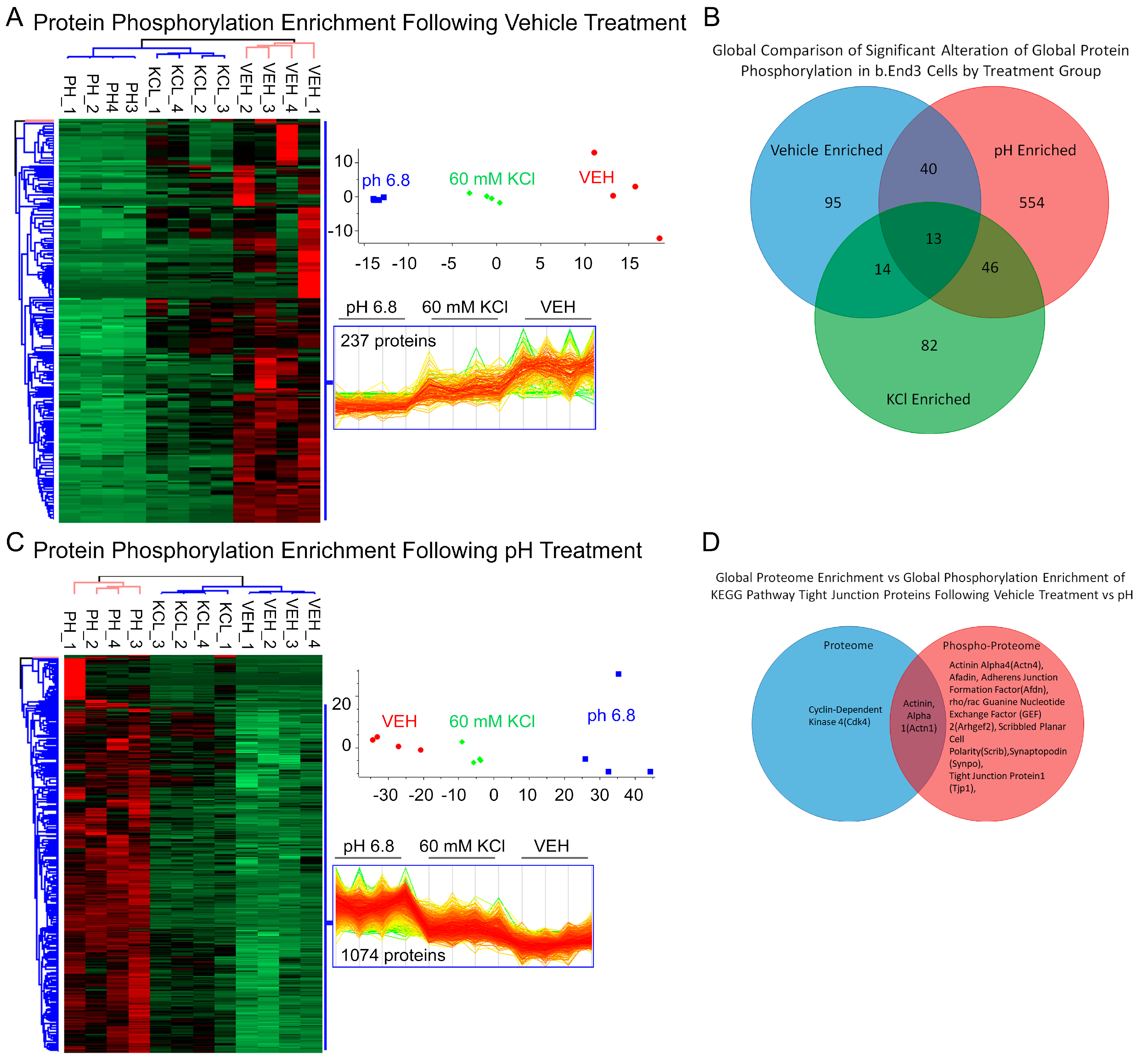 Pharmaceutics 14 01469 g006 Pharmaceutics 14 01469 g006