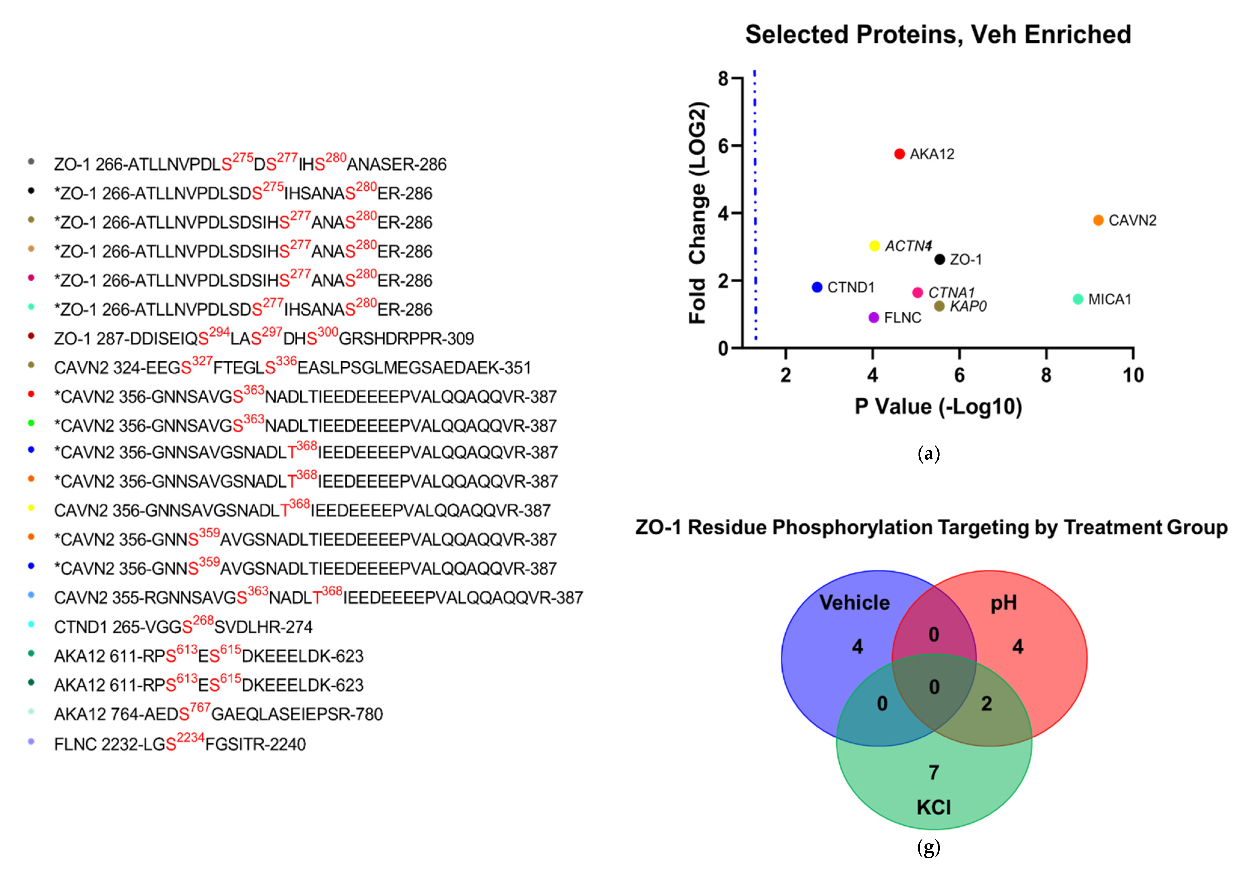 Pharmaceutics 14 01469 g008a Pharmaceutics 14 01469 g008a