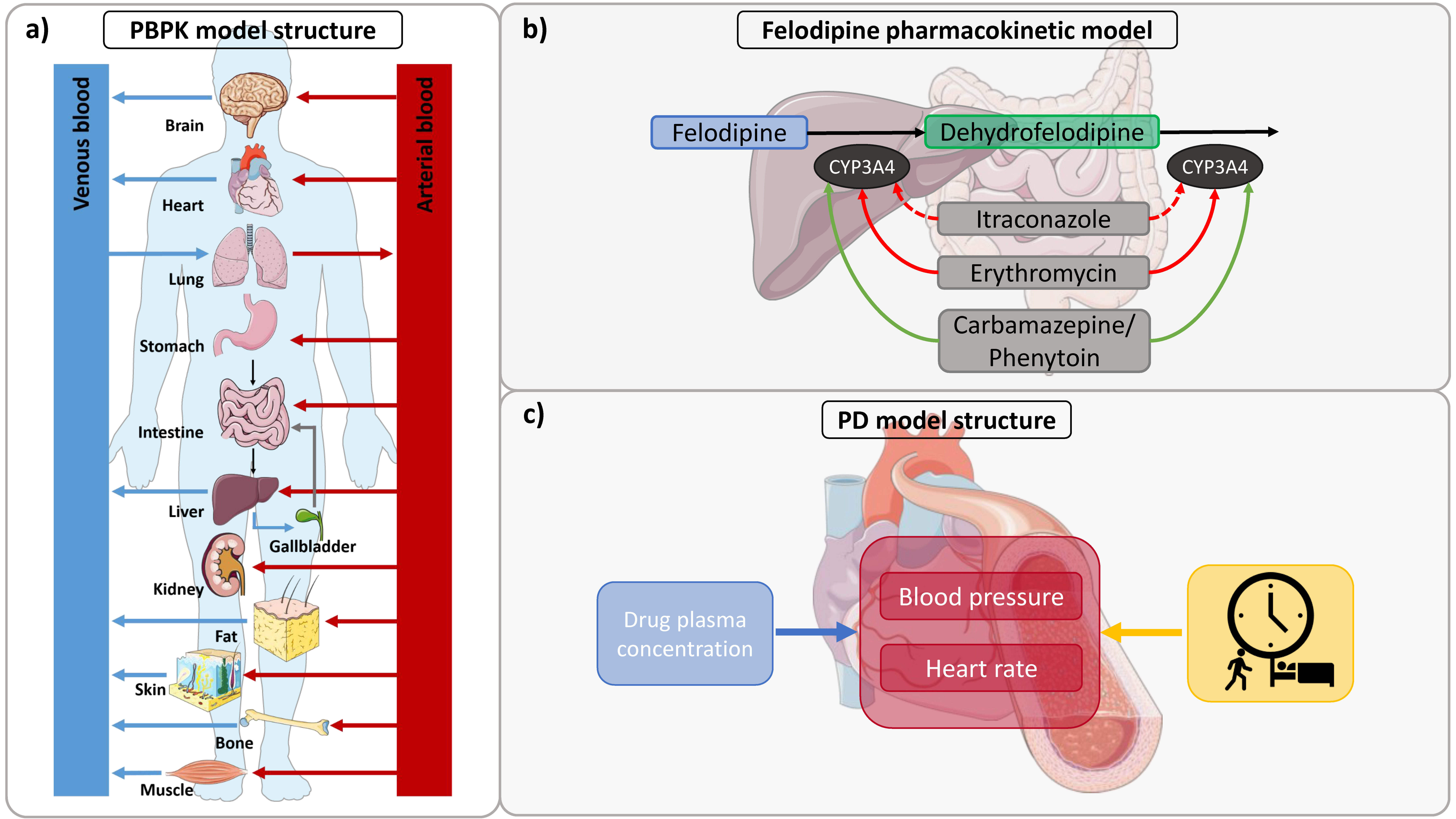 Pharmaceutics 14 01474 g001