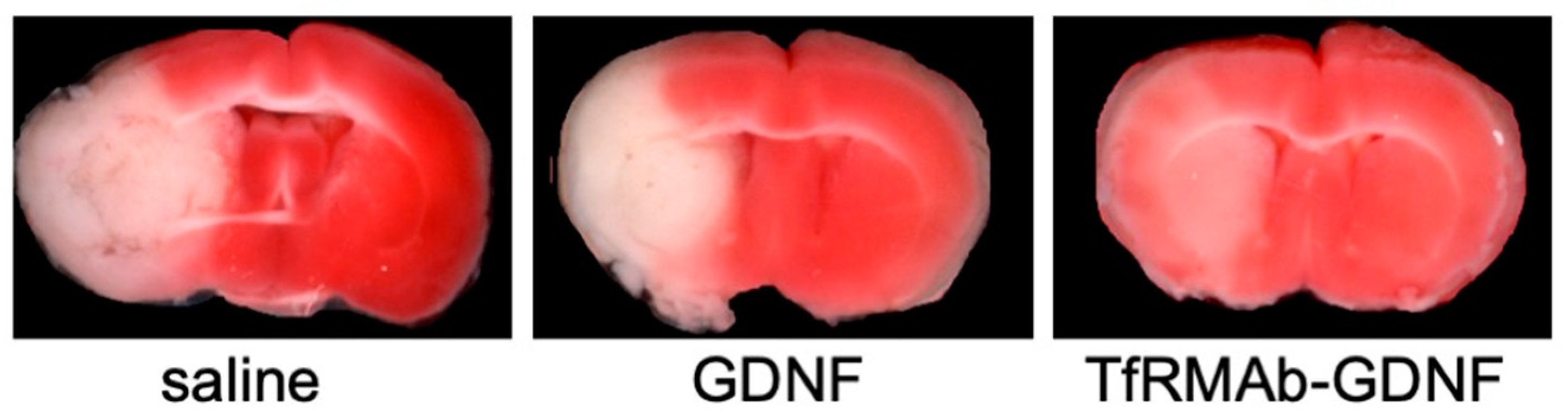 Pharmaceutics 14 01476 g010