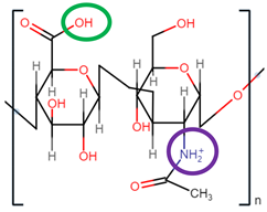 Pharmaceutics 14 01479 i002