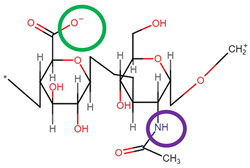 Pharmaceutics 14 01479 i005