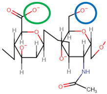 Pharmaceutics 14 01479 i009
