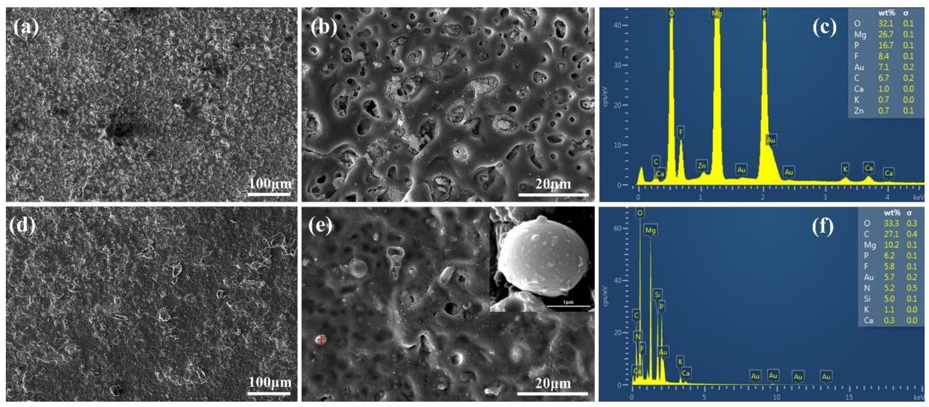 Pharmaceutics 14 01481 g001