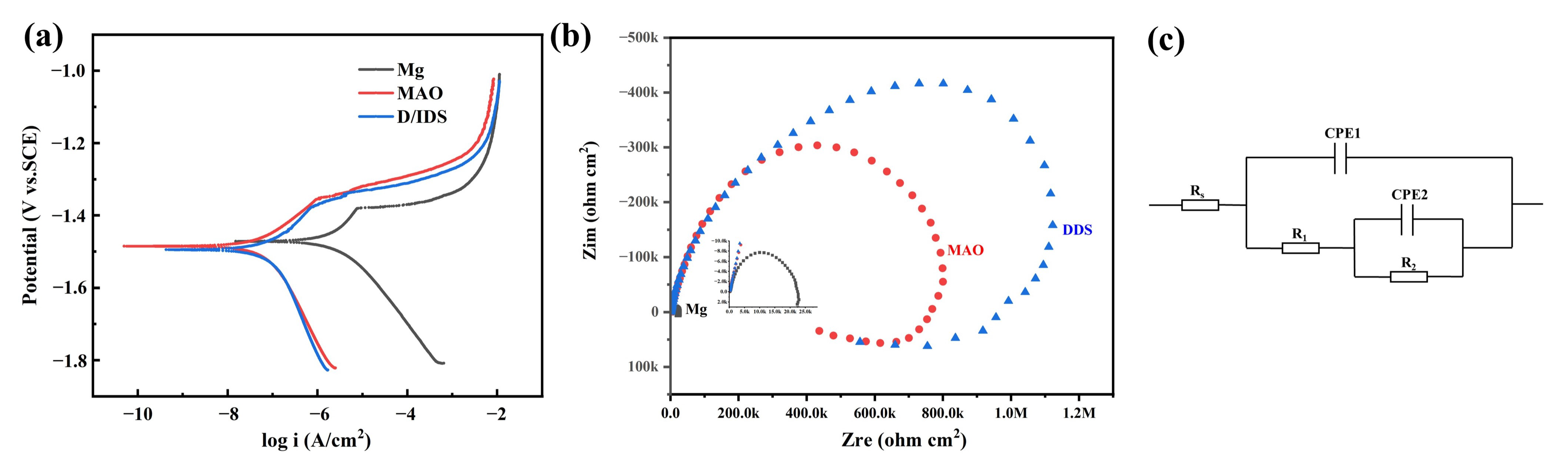 Pharmaceutics 14 01481 g008