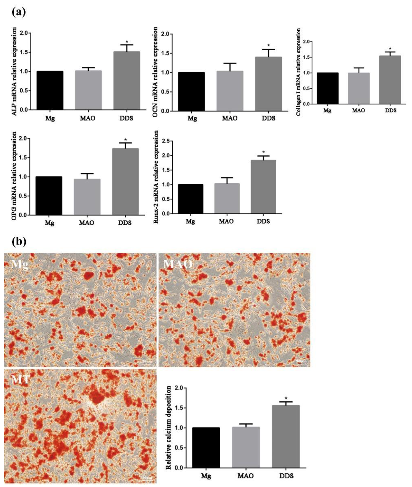 Pharmaceutics 14 01481 g010