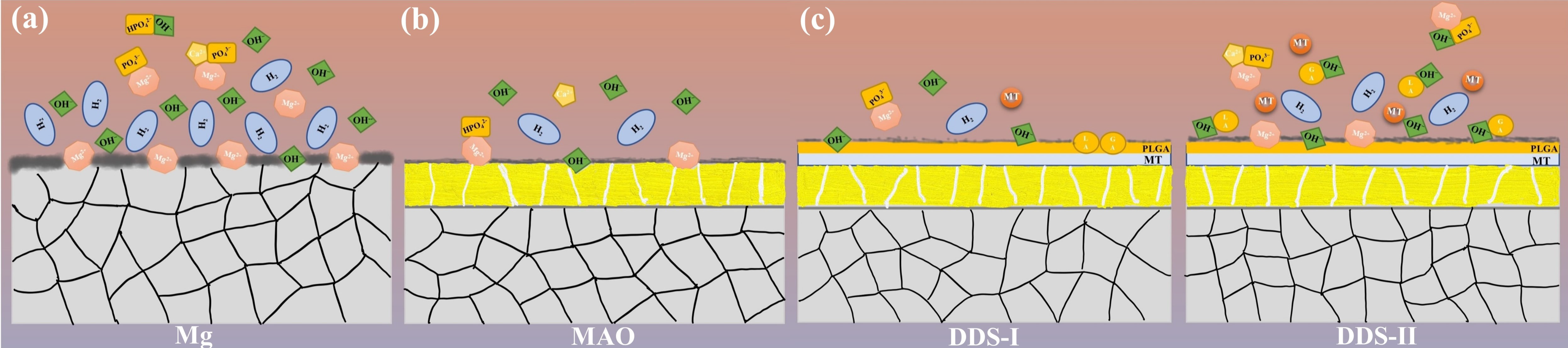 Pharmaceutics 14 01481 g012