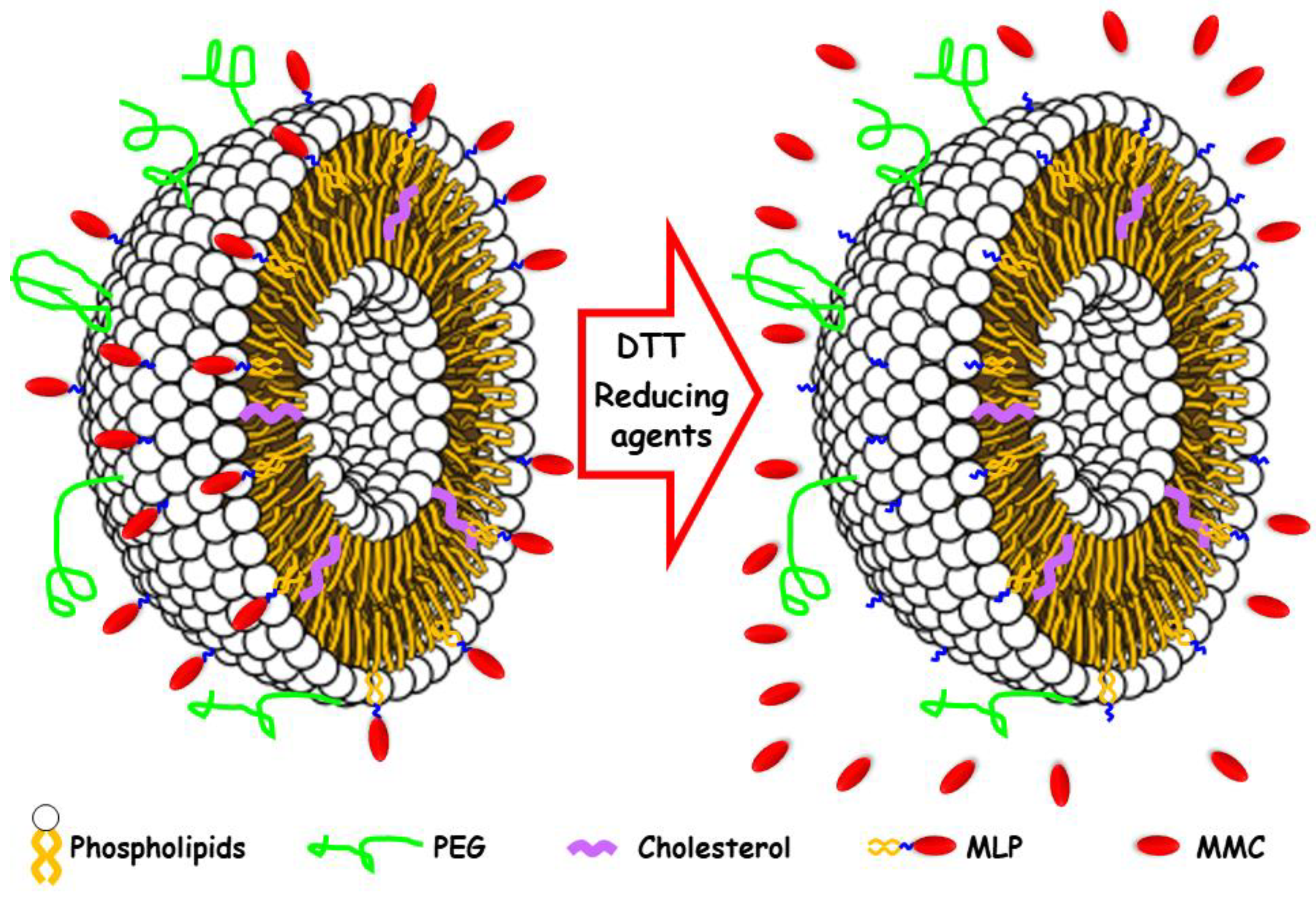 Pharmaceutics 14 01483 g001 Pharmaceutics 14 01483 g001