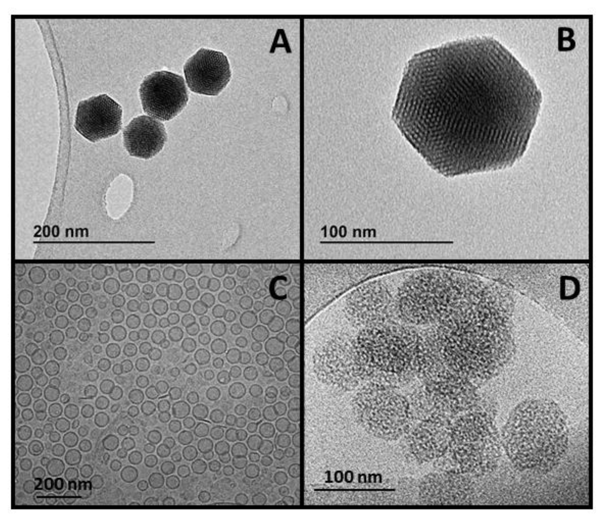 Pharmaceutics 14 01483 g003 Pharmaceutics 14 01483 g003