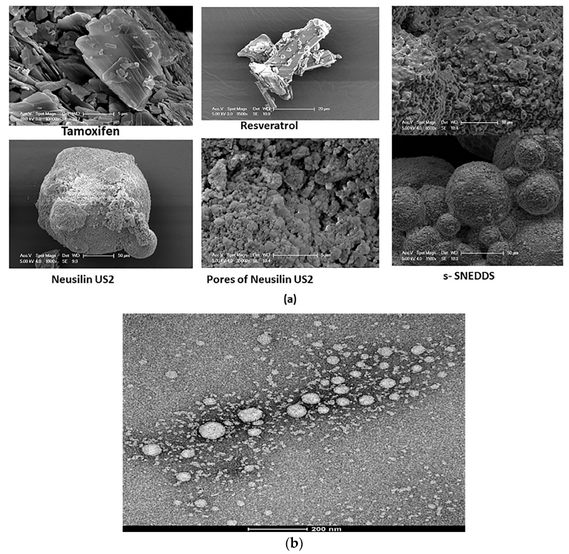 Pharmaceutics 14 01486 g005