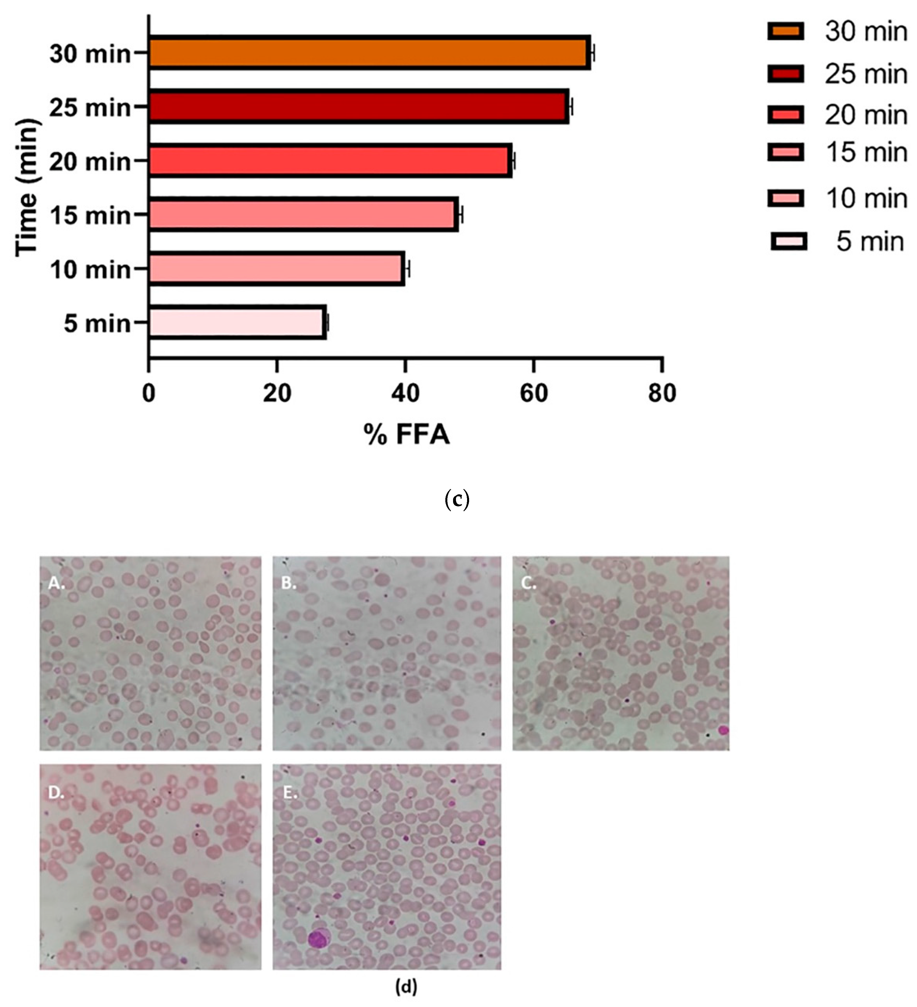 Pharmaceutics 14 01486 g007b