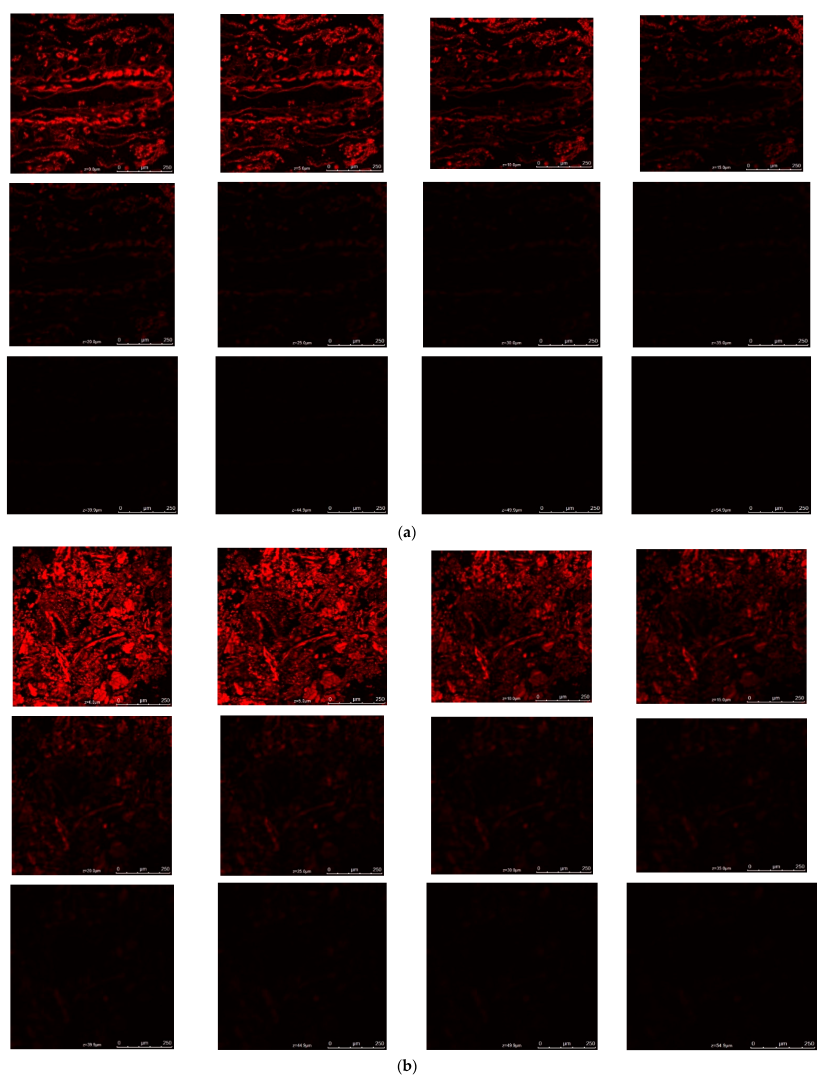 Pharmaceutics 14 01486 g008