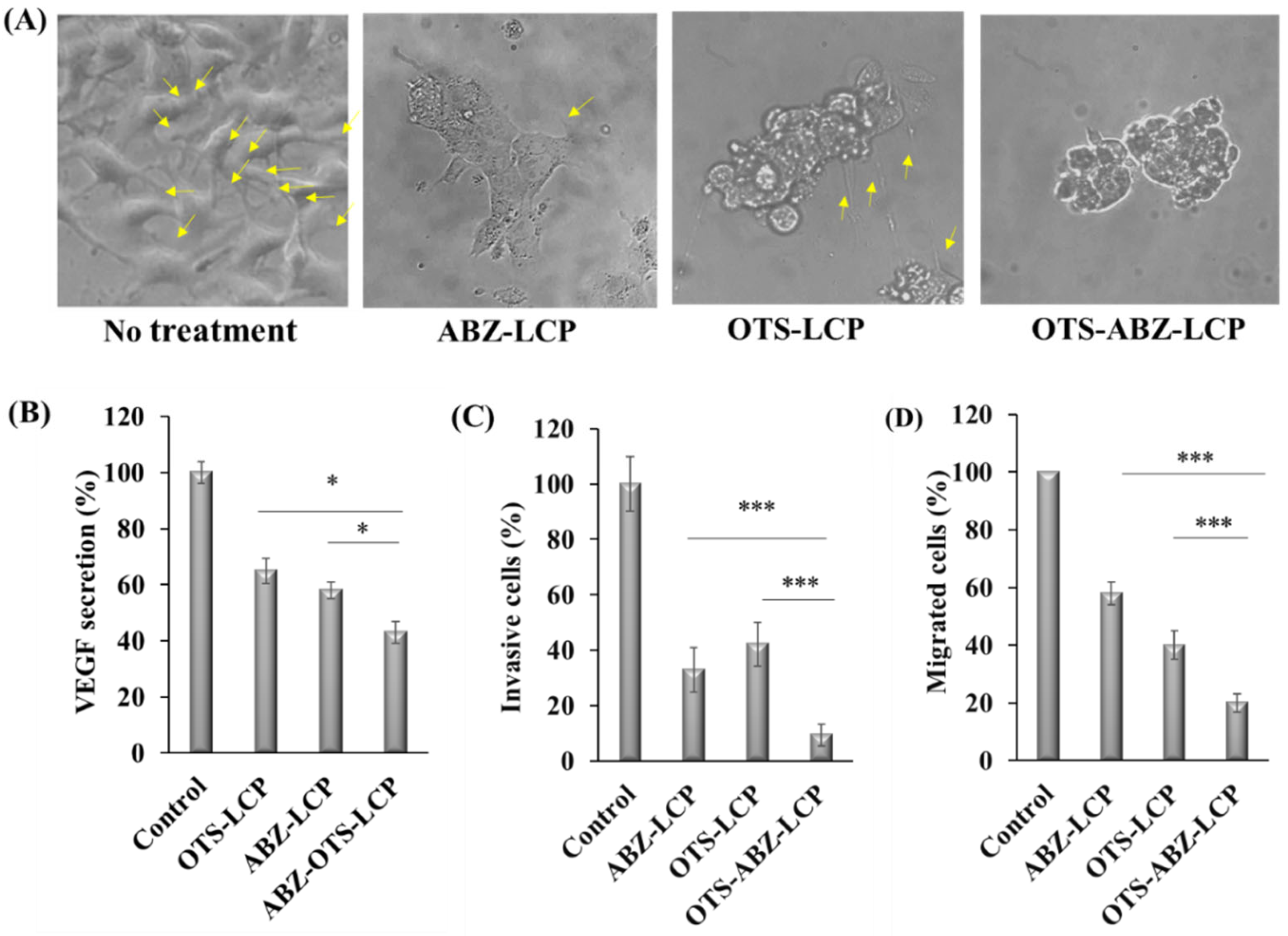 Pharmaceutics 14 01488 g004