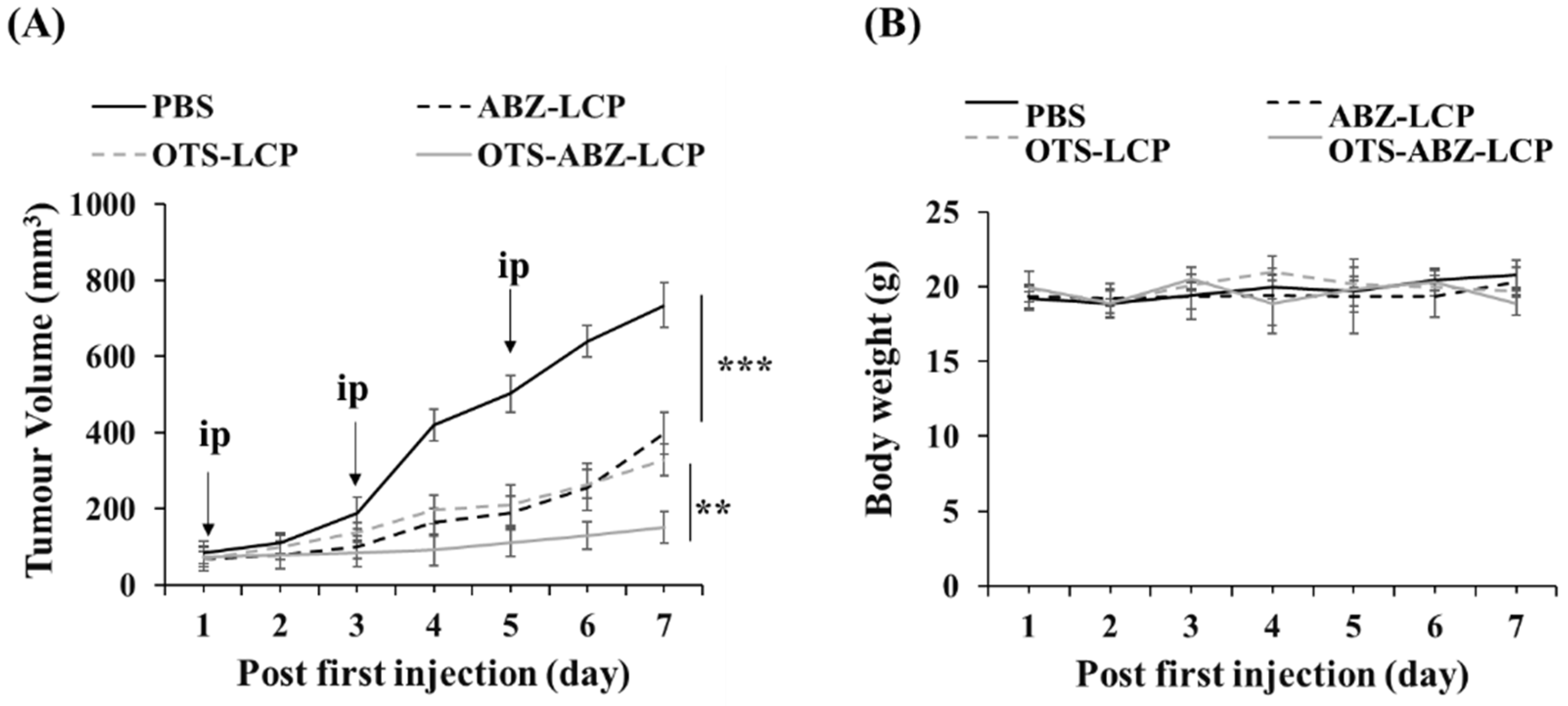 Pharmaceutics 14 01488 g005