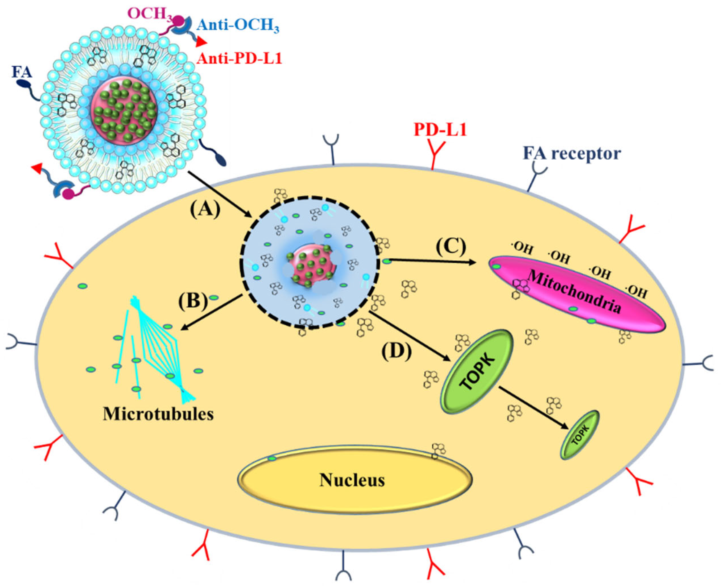 Pharmaceutics 14 01488 sch001