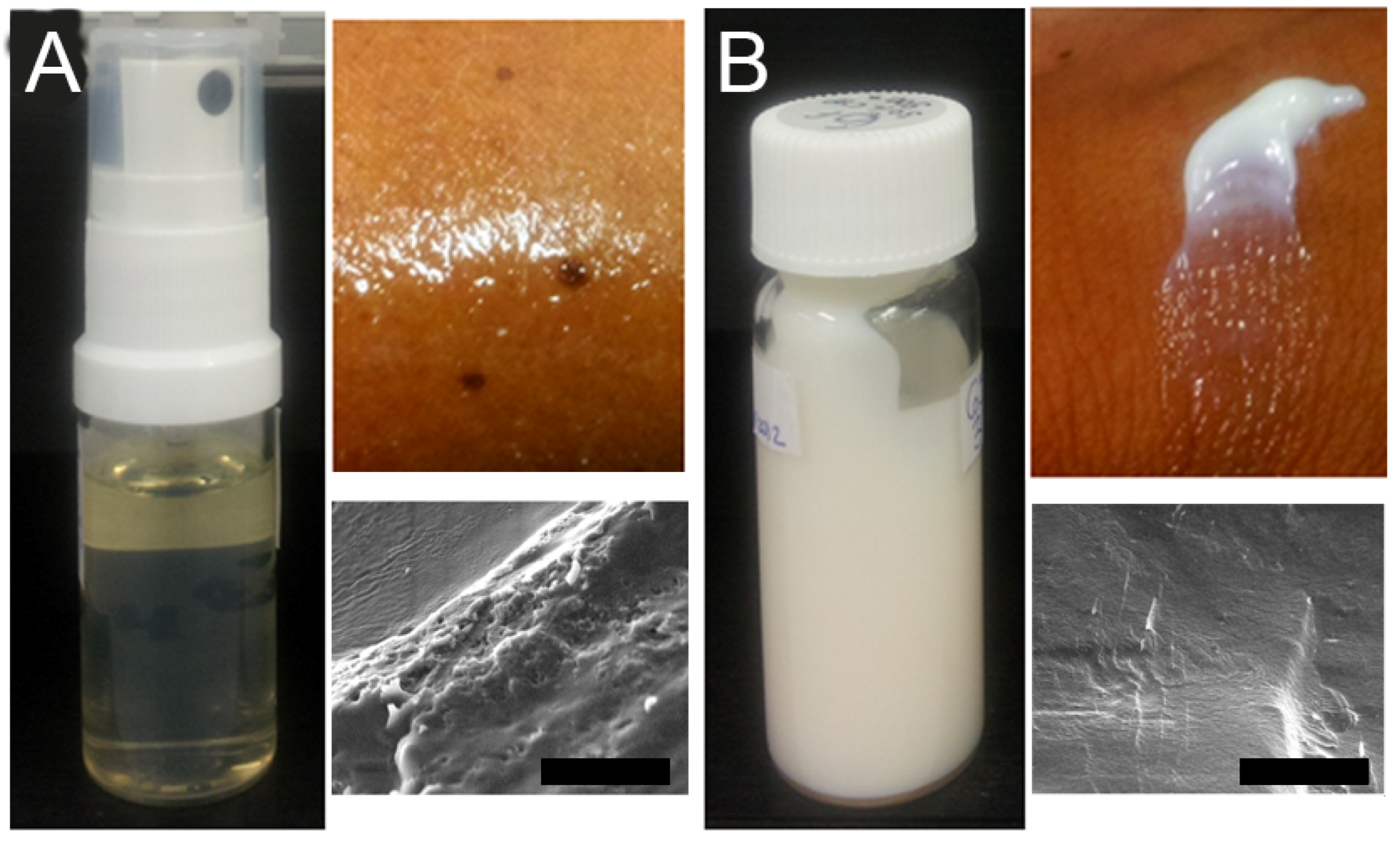 Pharmaceutics 14 01493 g003
