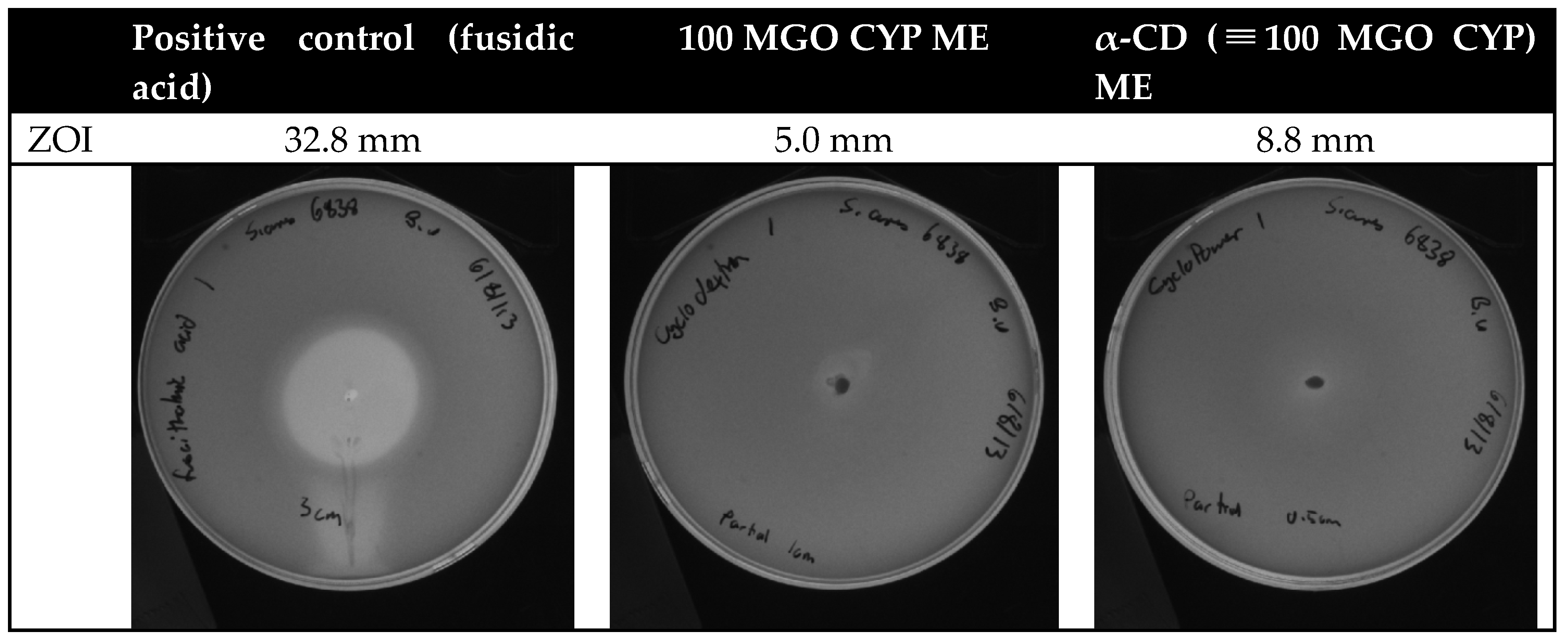 Pharmaceutics 14 01493 g004