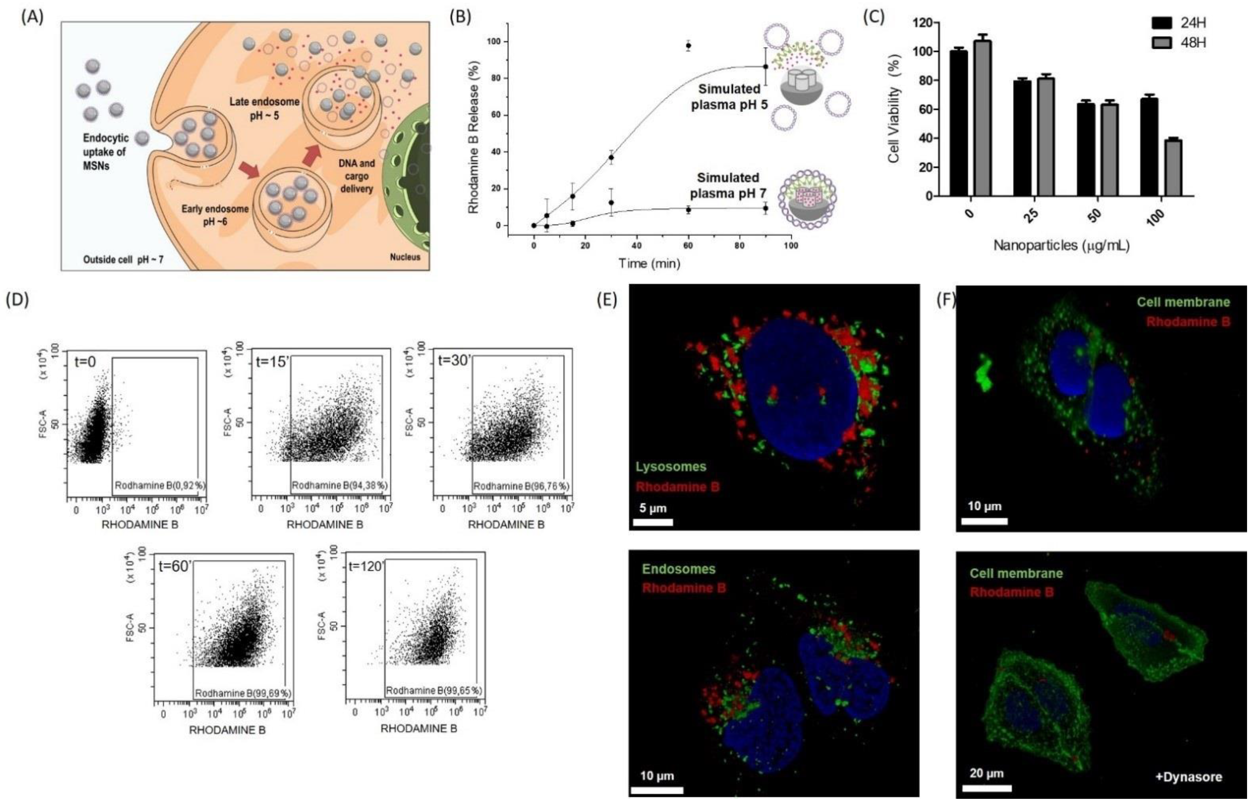 Pharmaceutics 14 01495 g002
