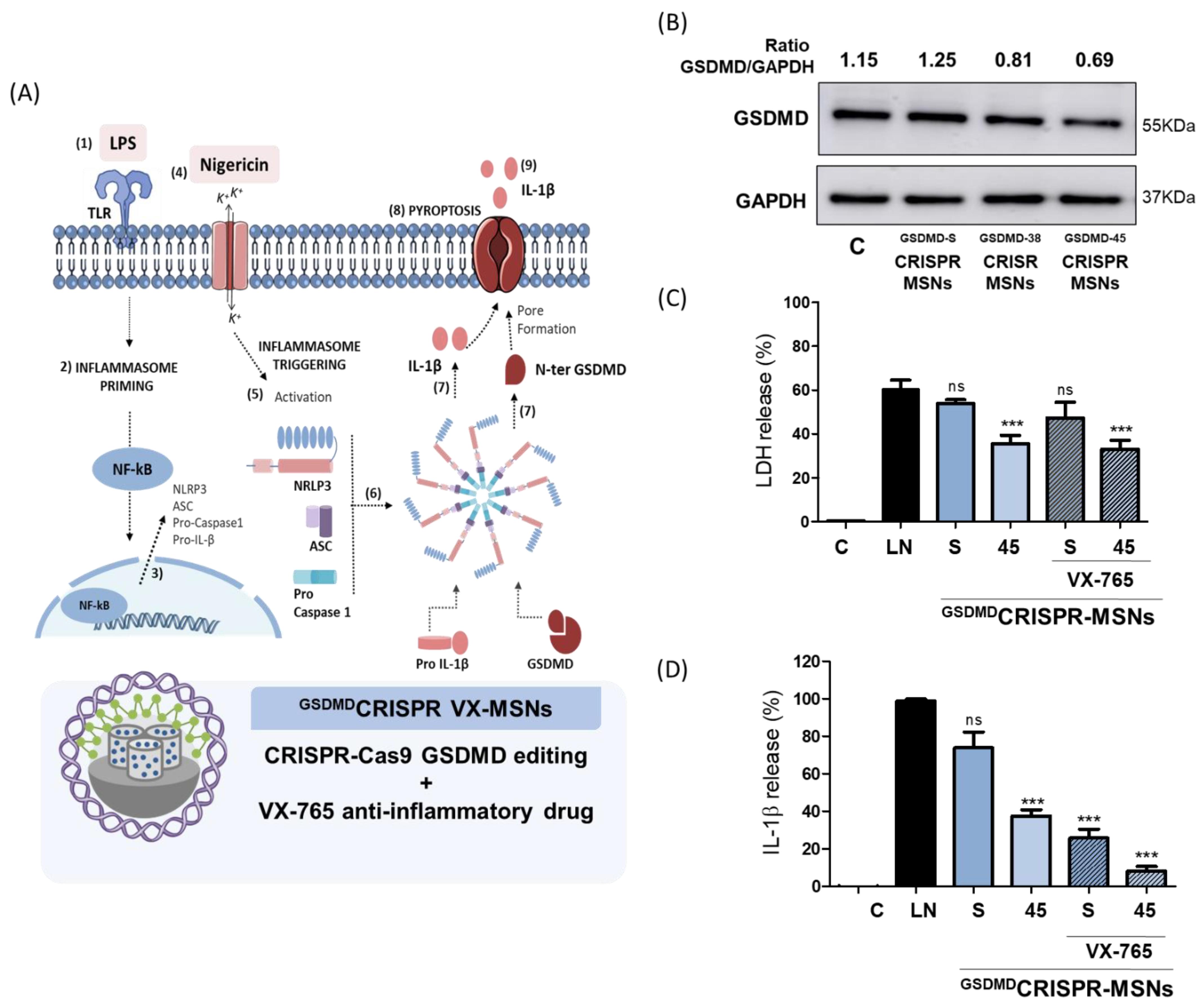 Pharmaceutics 14 01495 g005