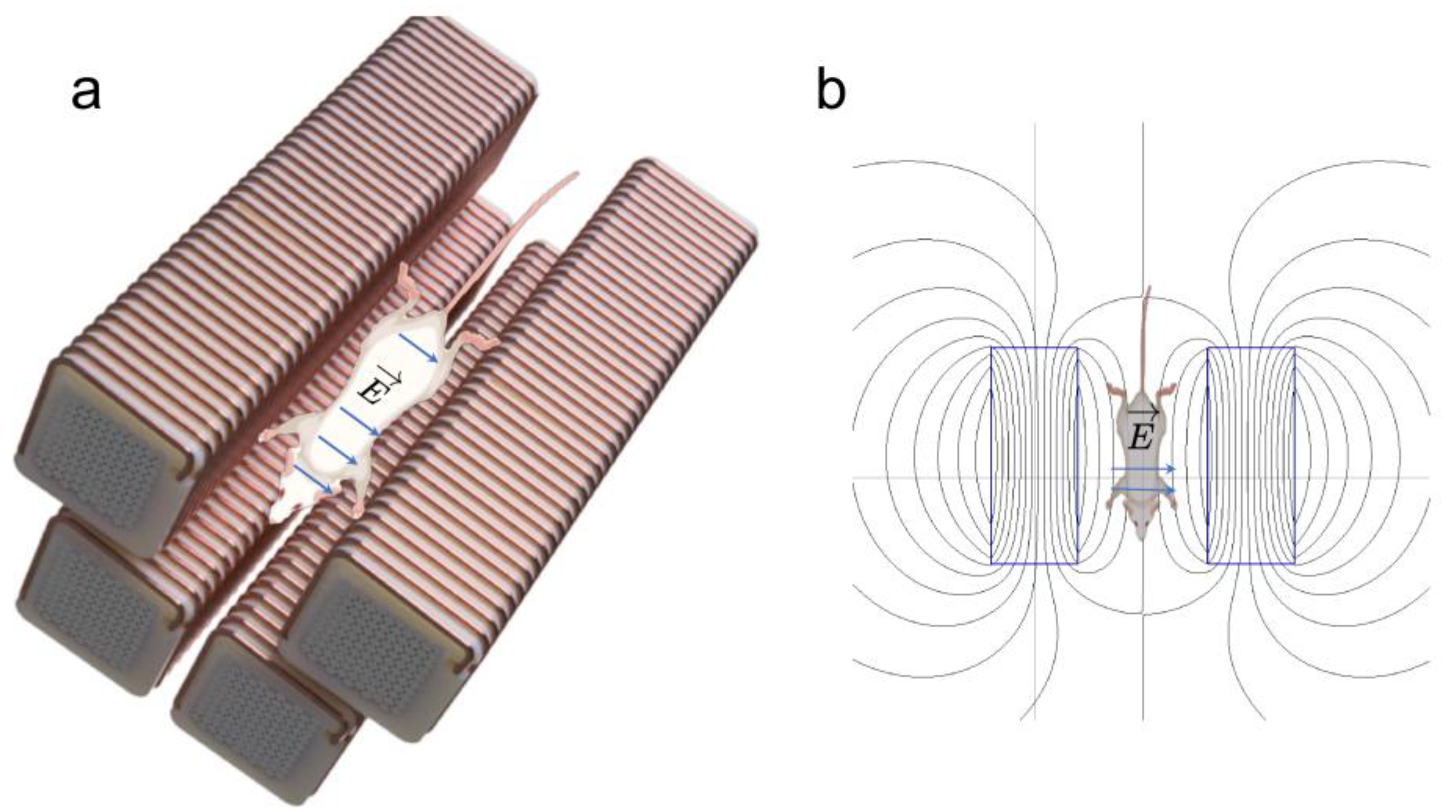 Pharmaceutics 14 01503 g003 Pharmaceutics 14 01503 g003