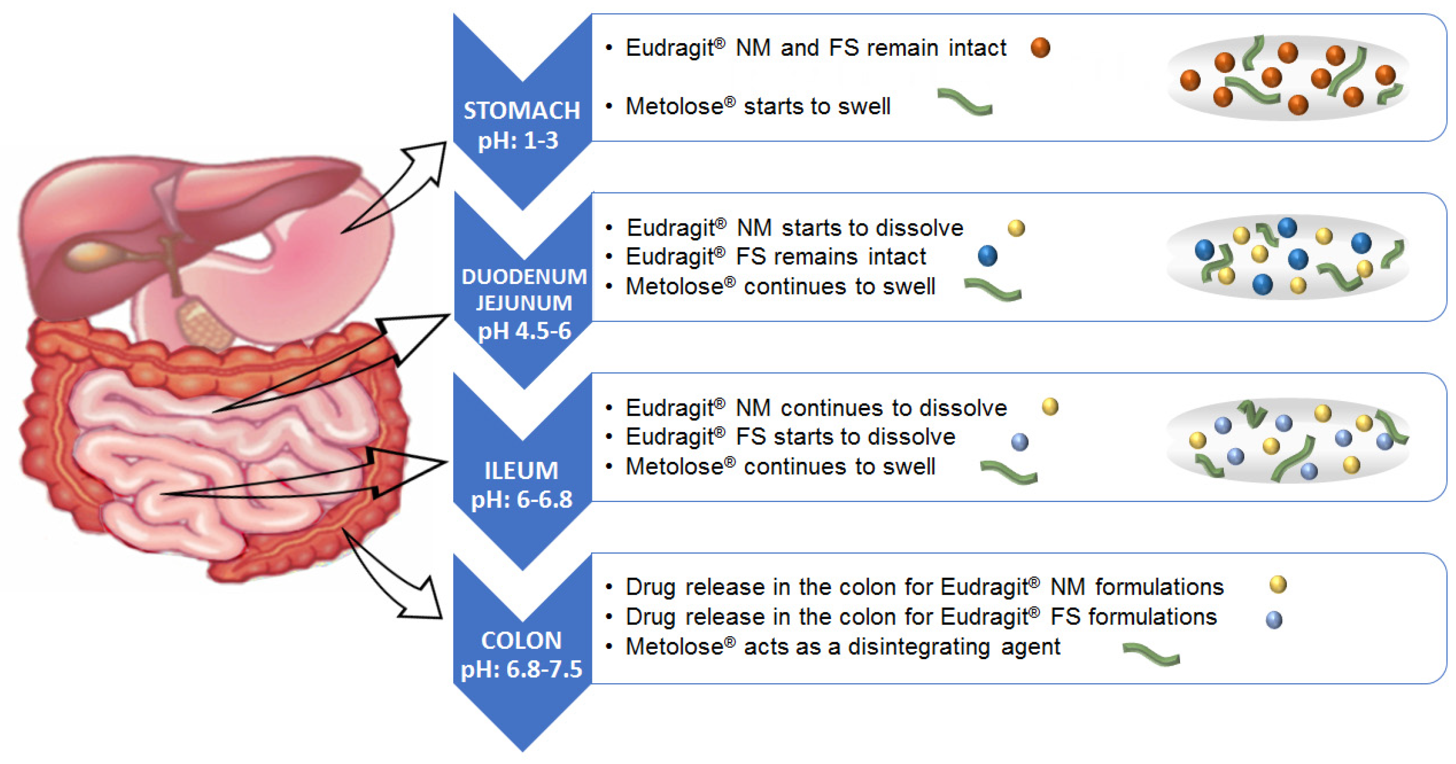 Pharmaceutics 14 01504 g001 Pharmaceutics 14 01504 g001