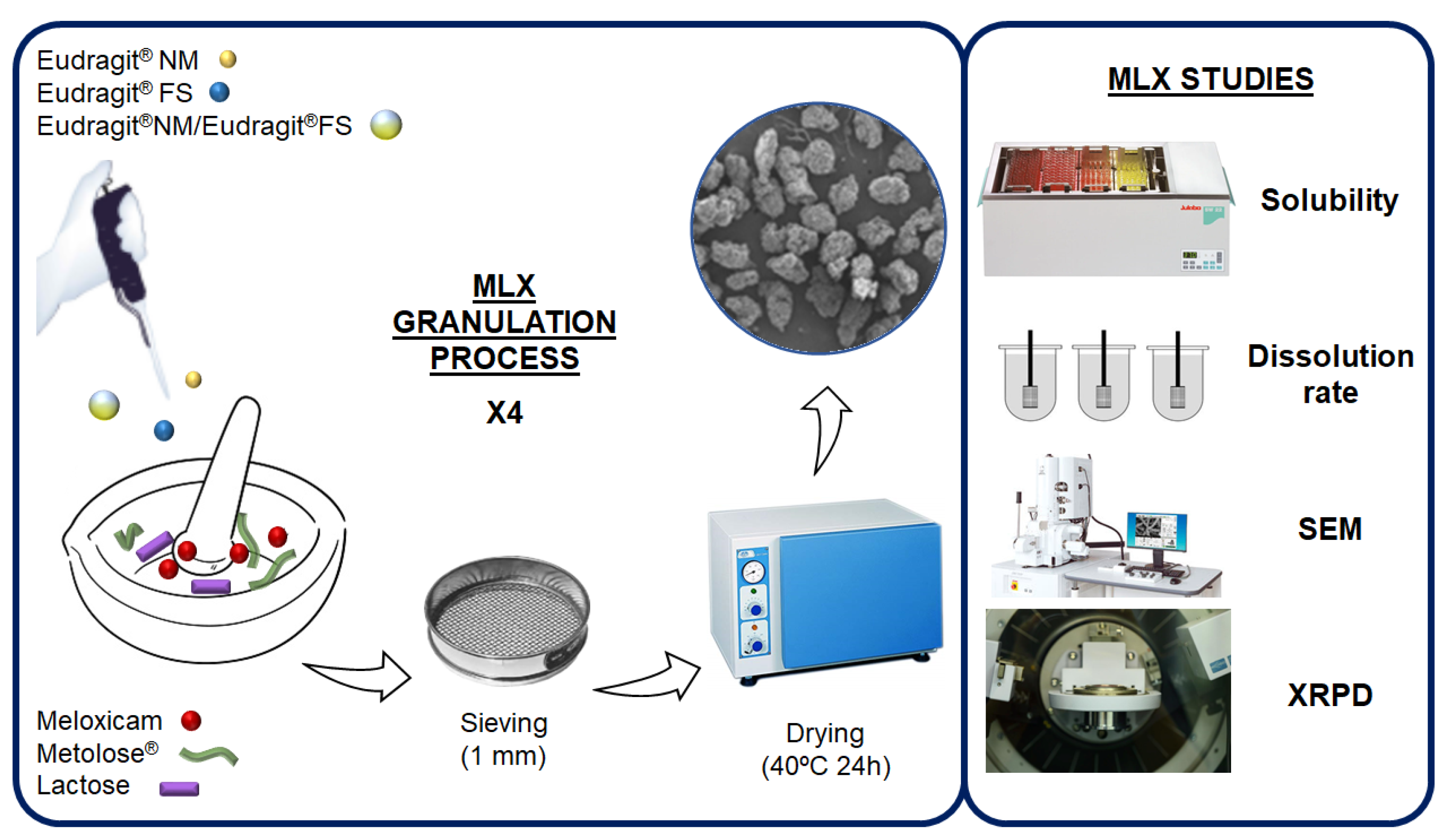 Pharmaceutics 14 01504 g002 Pharmaceutics 14 01504 g002