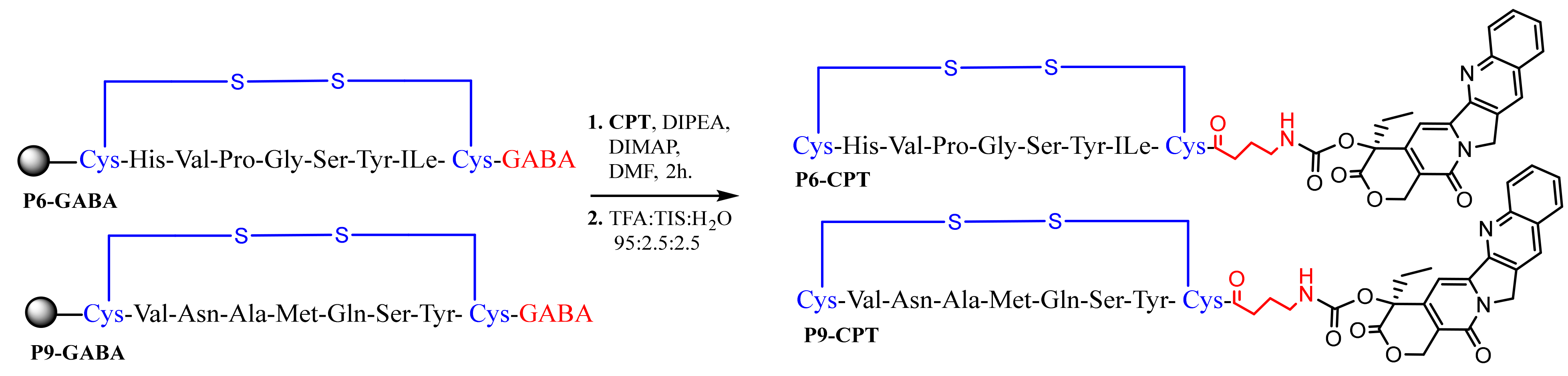 Pharmaceutics 14 01505 g007 Pharmaceutics 14 01505 g007