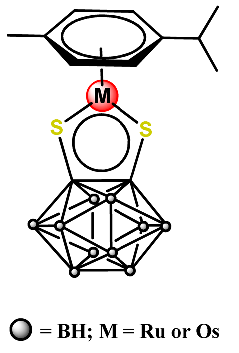 Pharmaceutics 14 01506 i022
