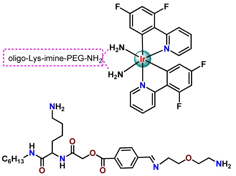 Pharmaceutics 14 01506 i063