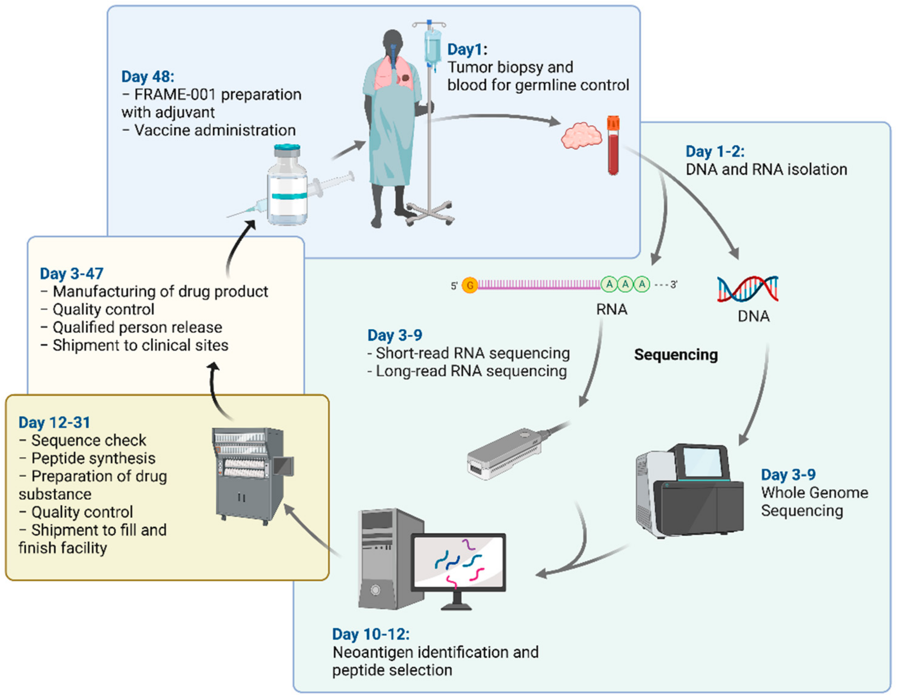 Pharmaceutics 14 01515 g001