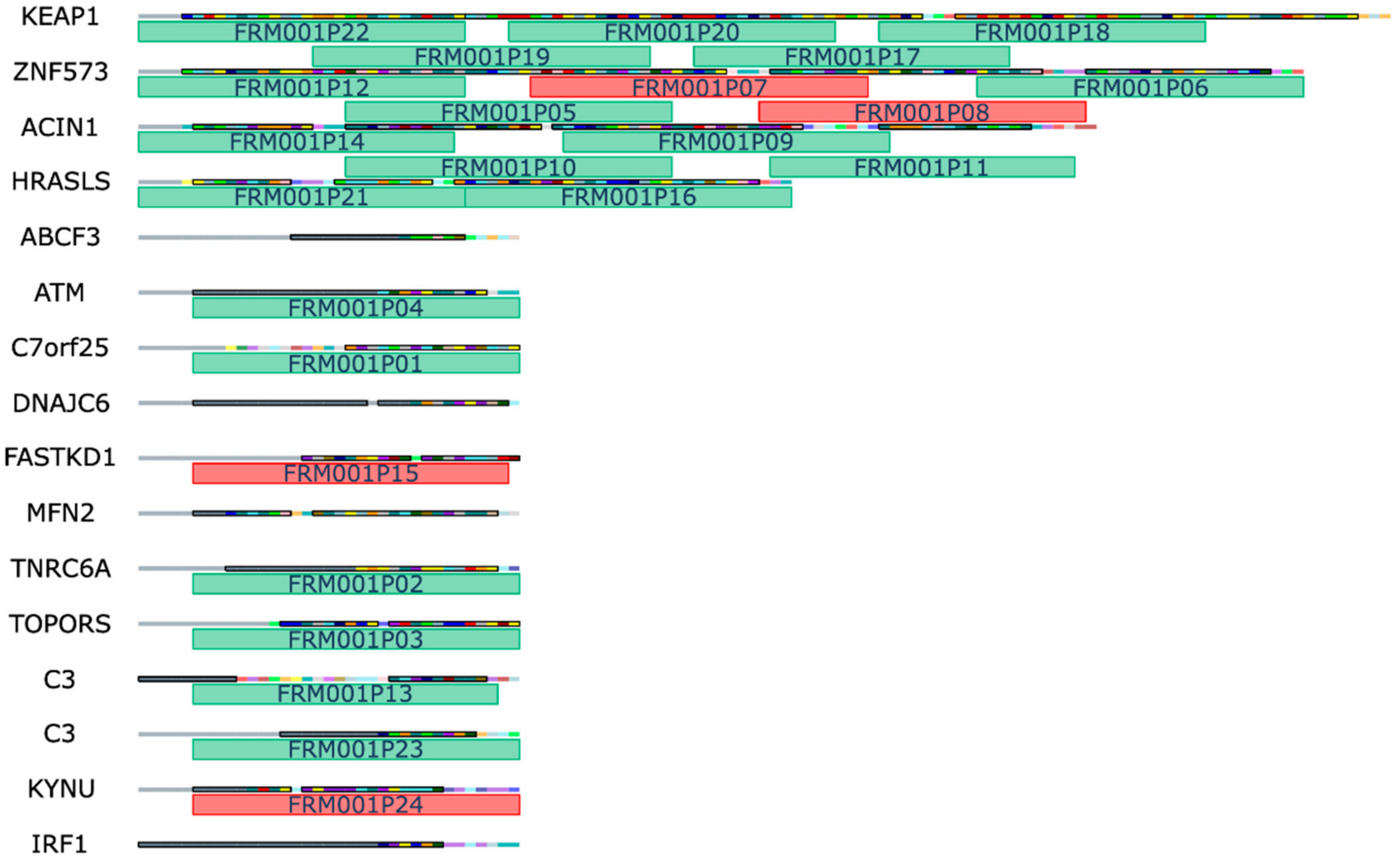 Pharmaceutics 14 01515 g003