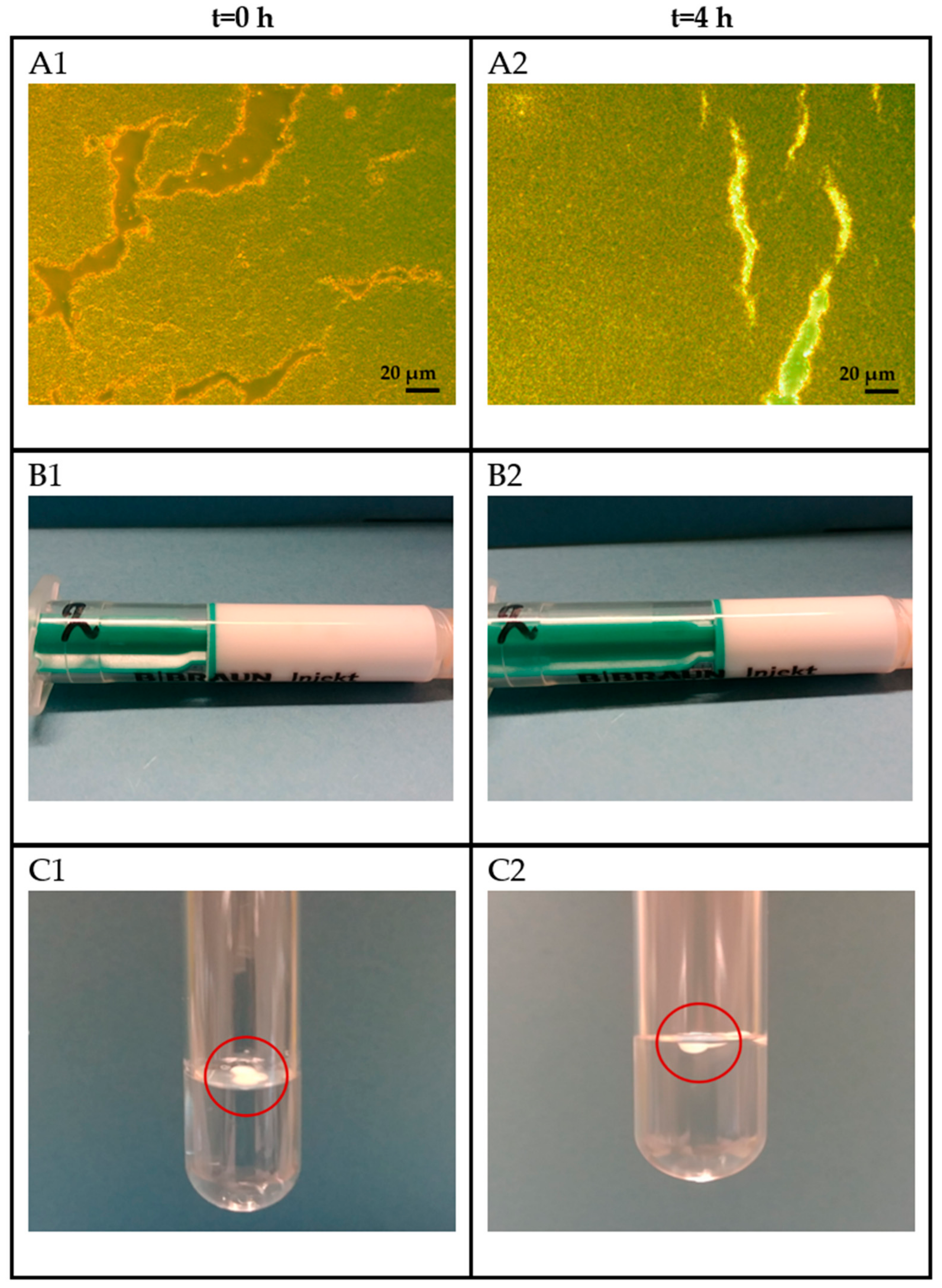 Pharmaceutics 14 01515 g005