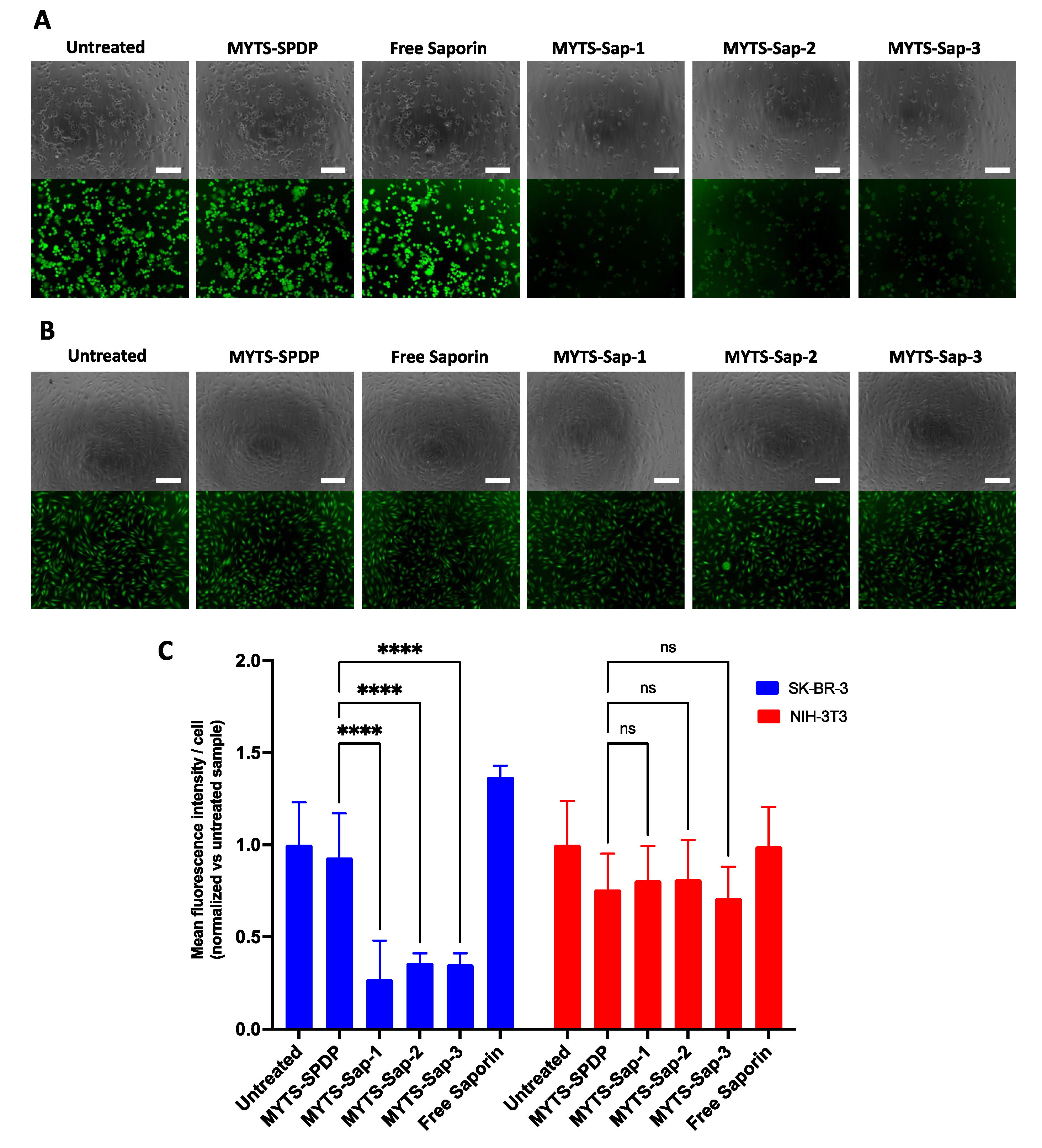 Pharmaceutics 14 01517 g005