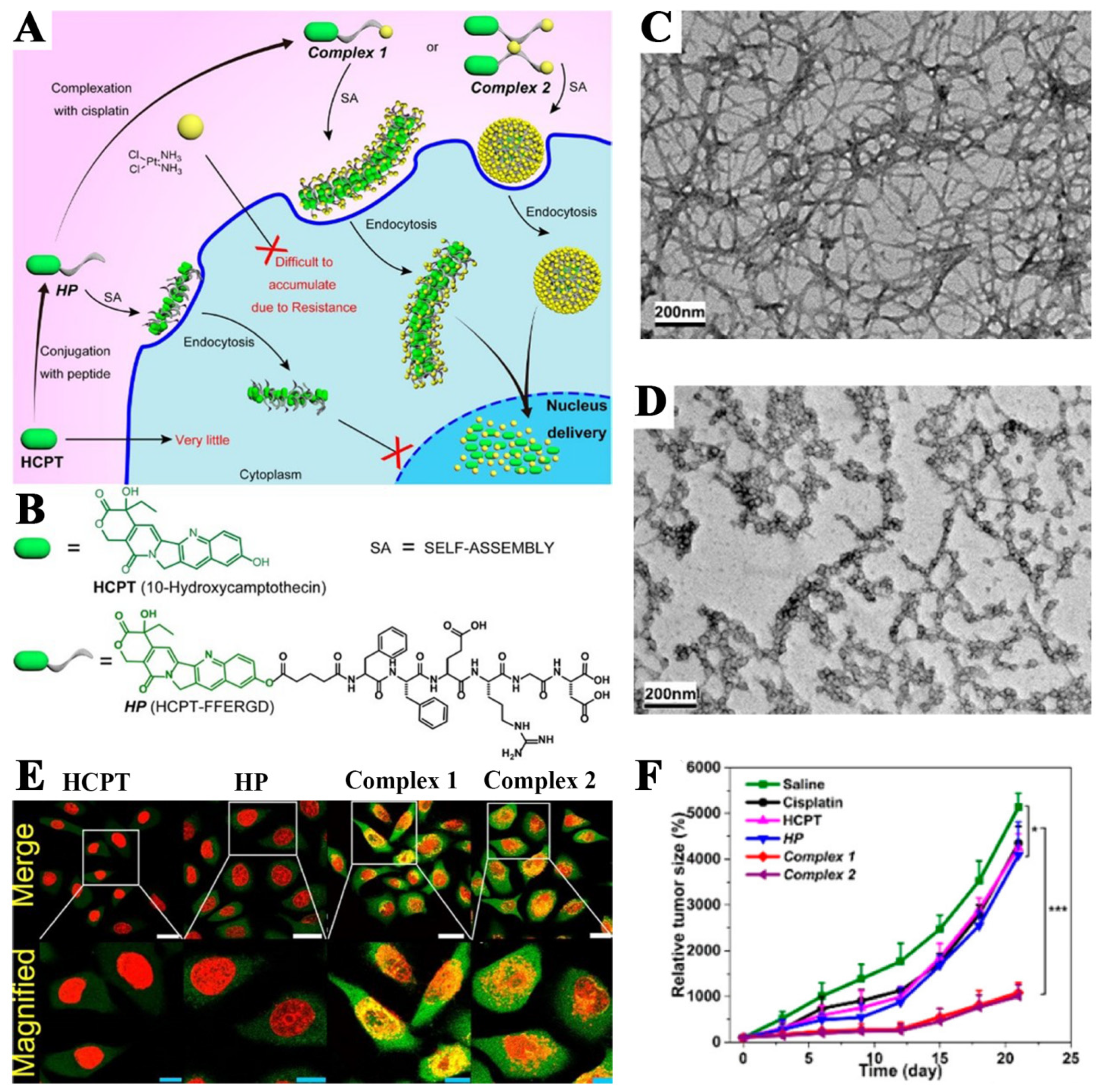 Pharmaceutics 14 01522 g004 Pharmaceutics 14 01522 g004