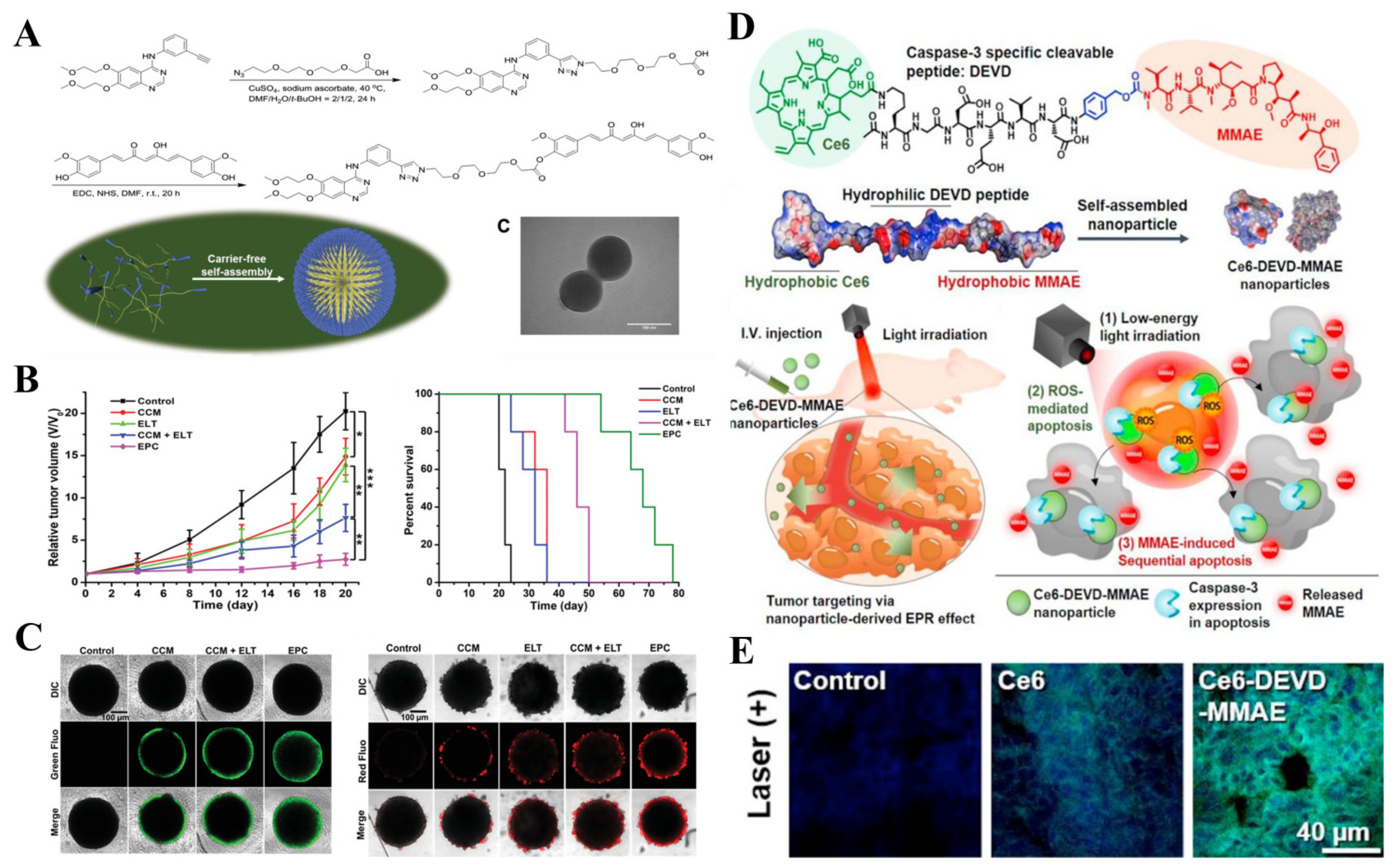 Pharmaceutics 14 01522 g005 Pharmaceutics 14 01522 g005