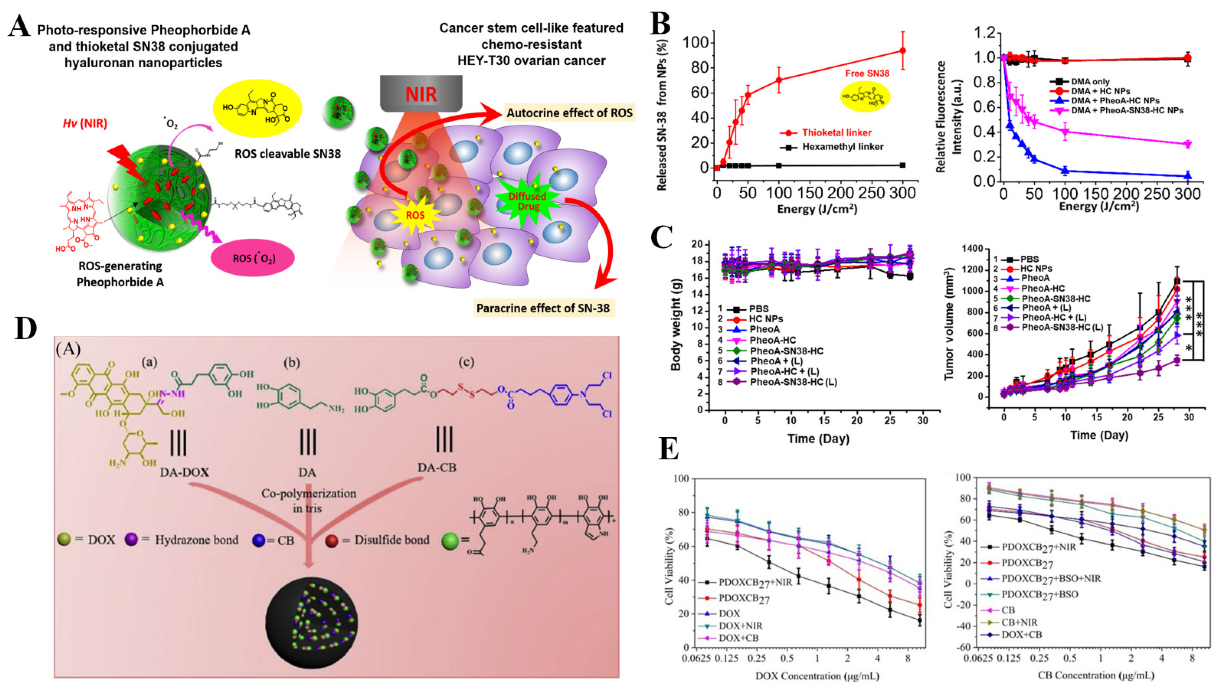 Pharmaceutics 14 01522 g007 Pharmaceutics 14 01522 g007