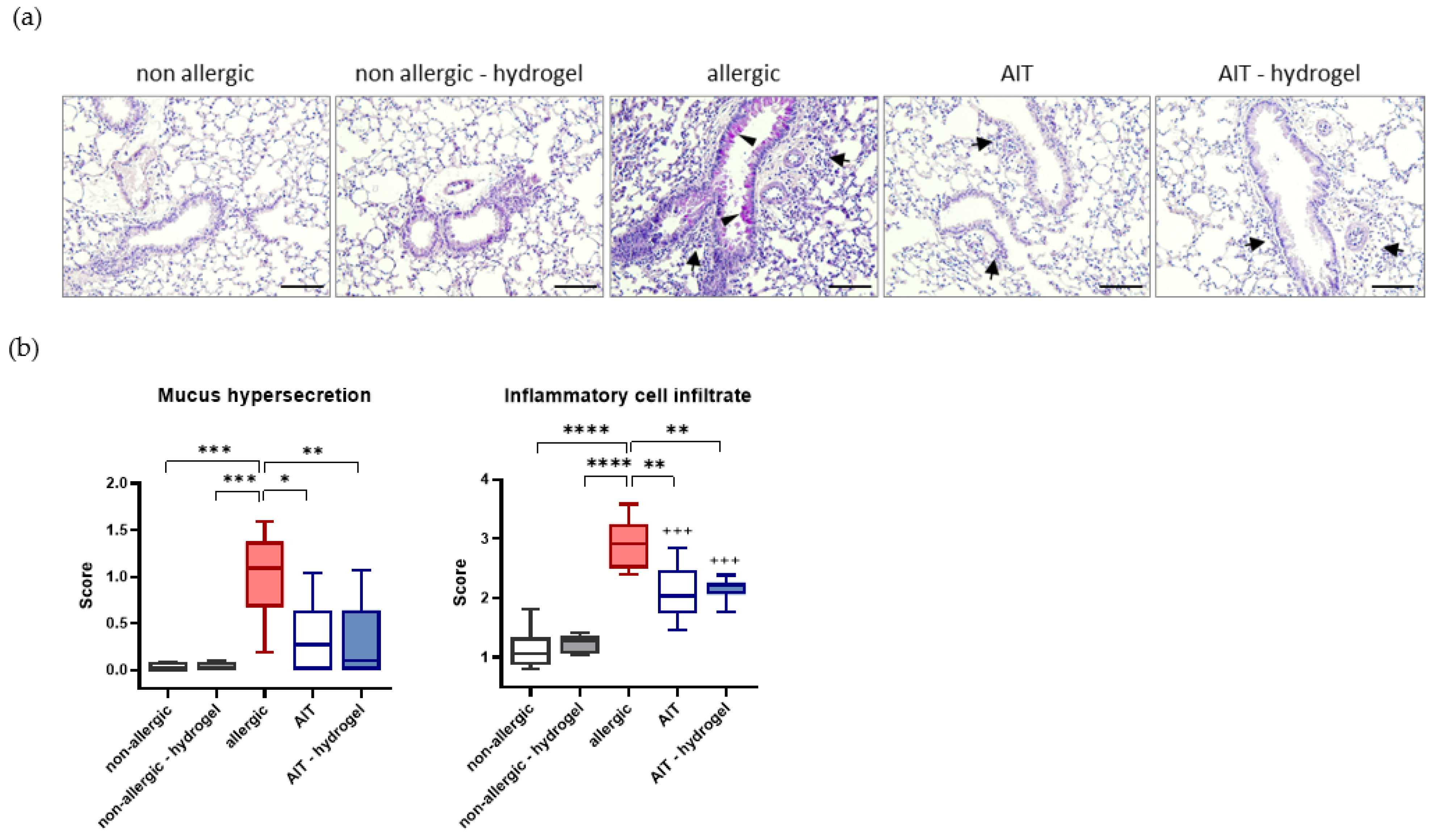 Pharmaceutics 14 01527 g004