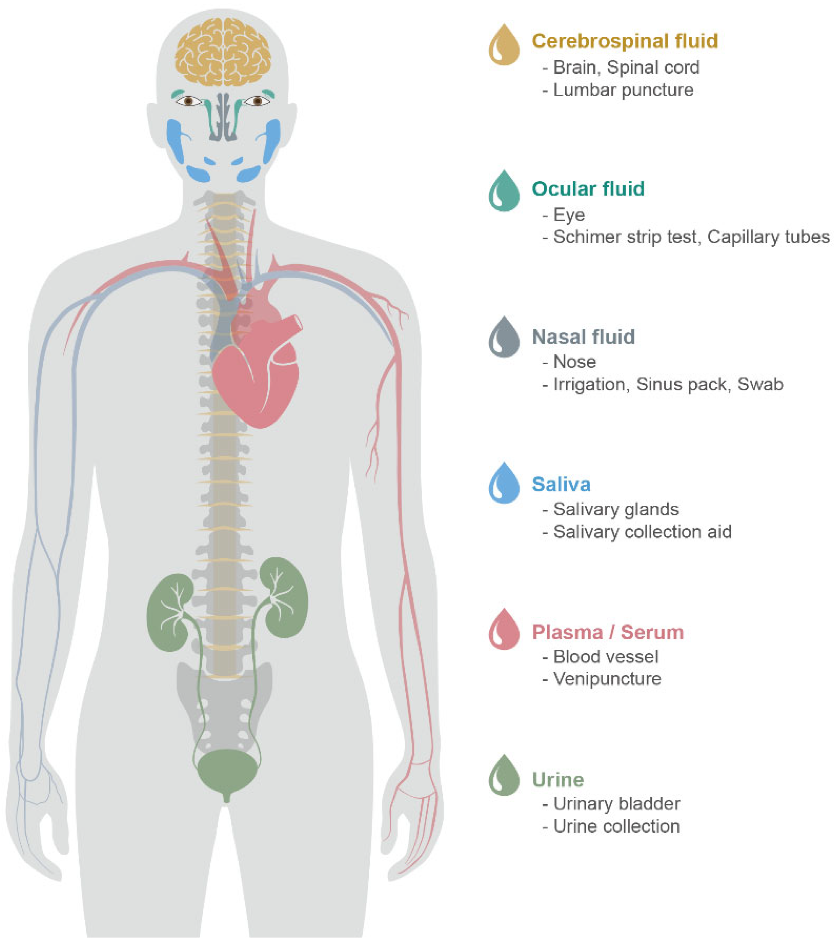 Pharmaceutics 14 01532 g001