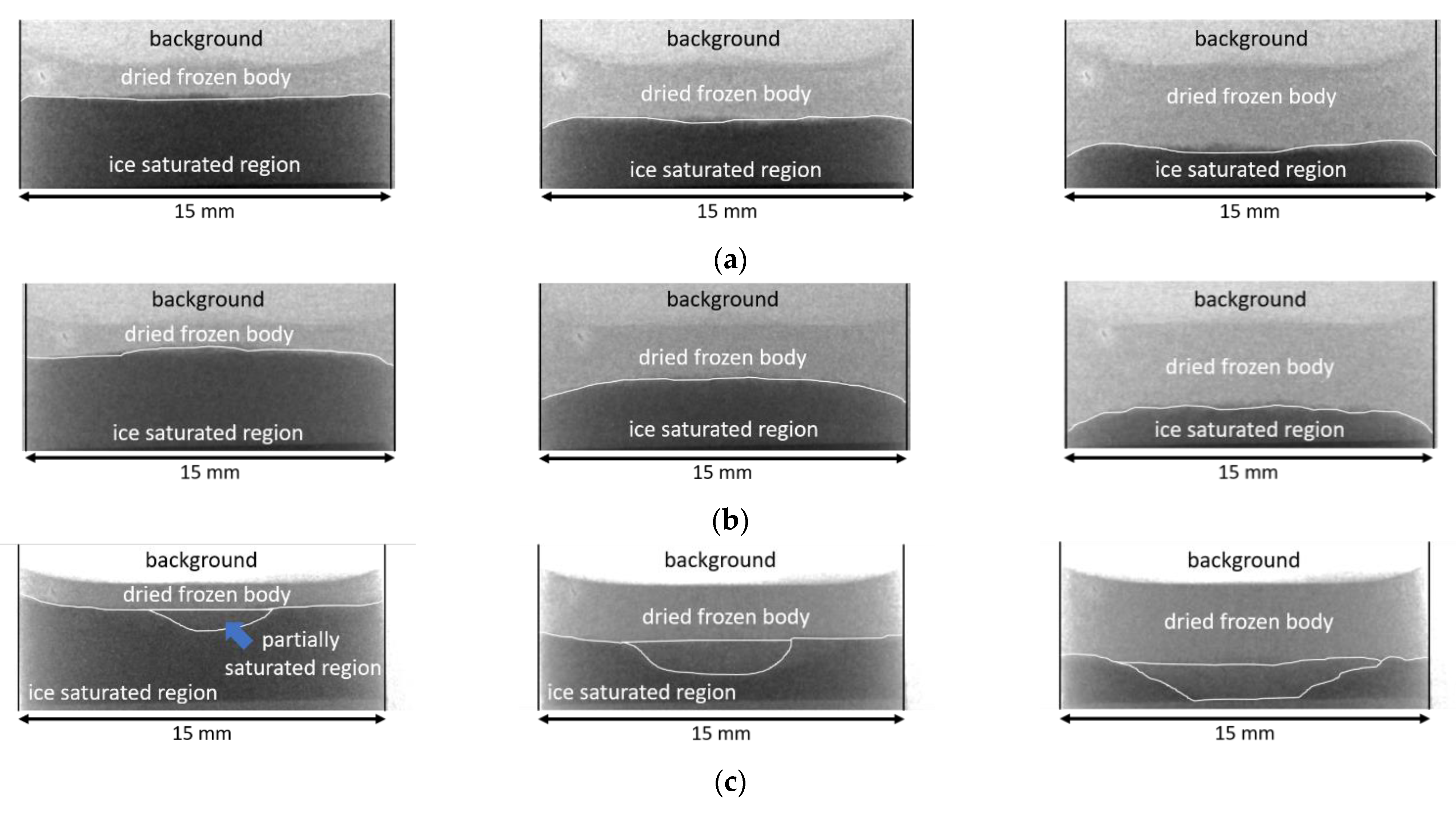 Pharmaceutics 14 01538 g005