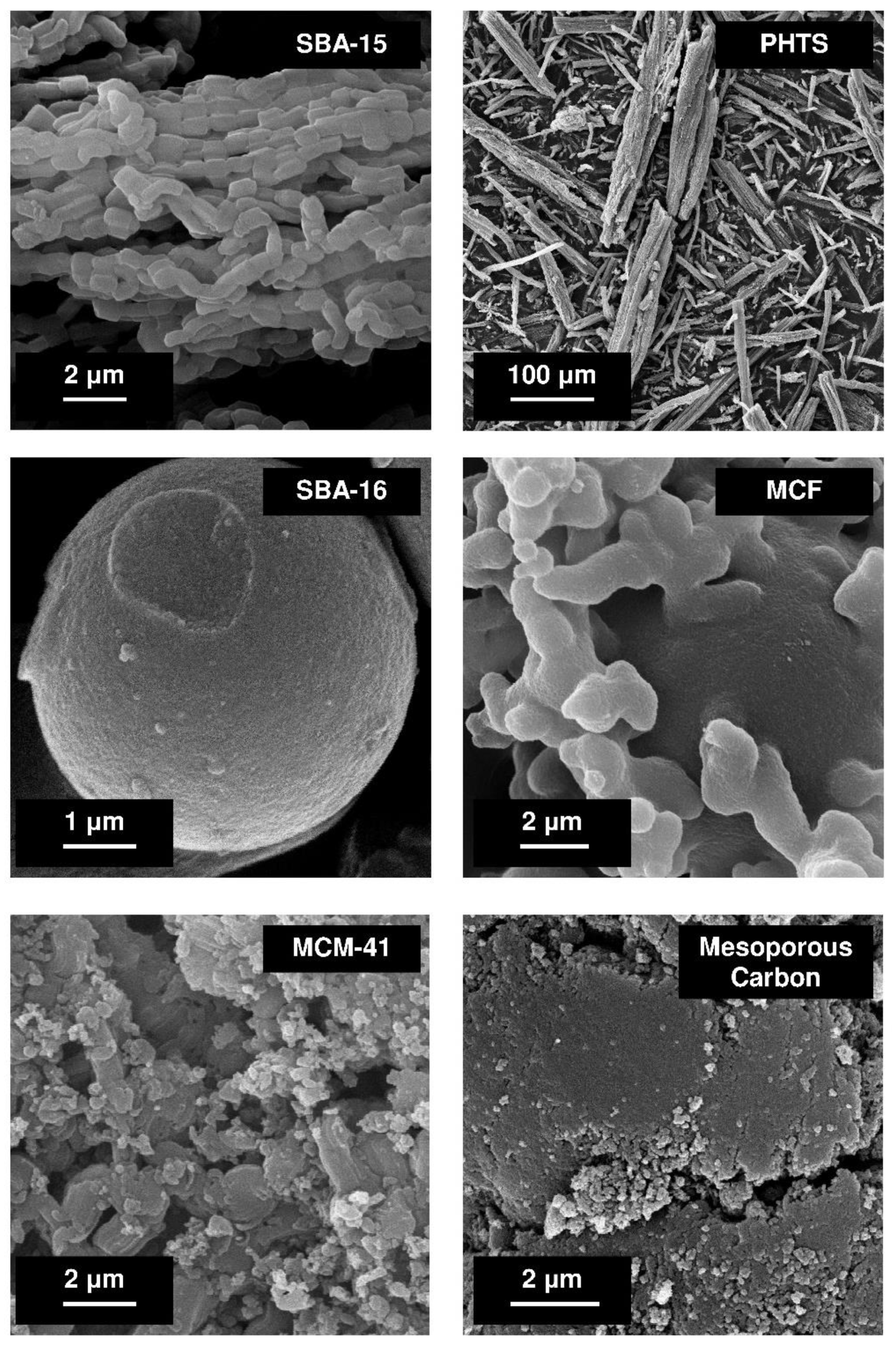 Pharmaceutics 14 01542 g002