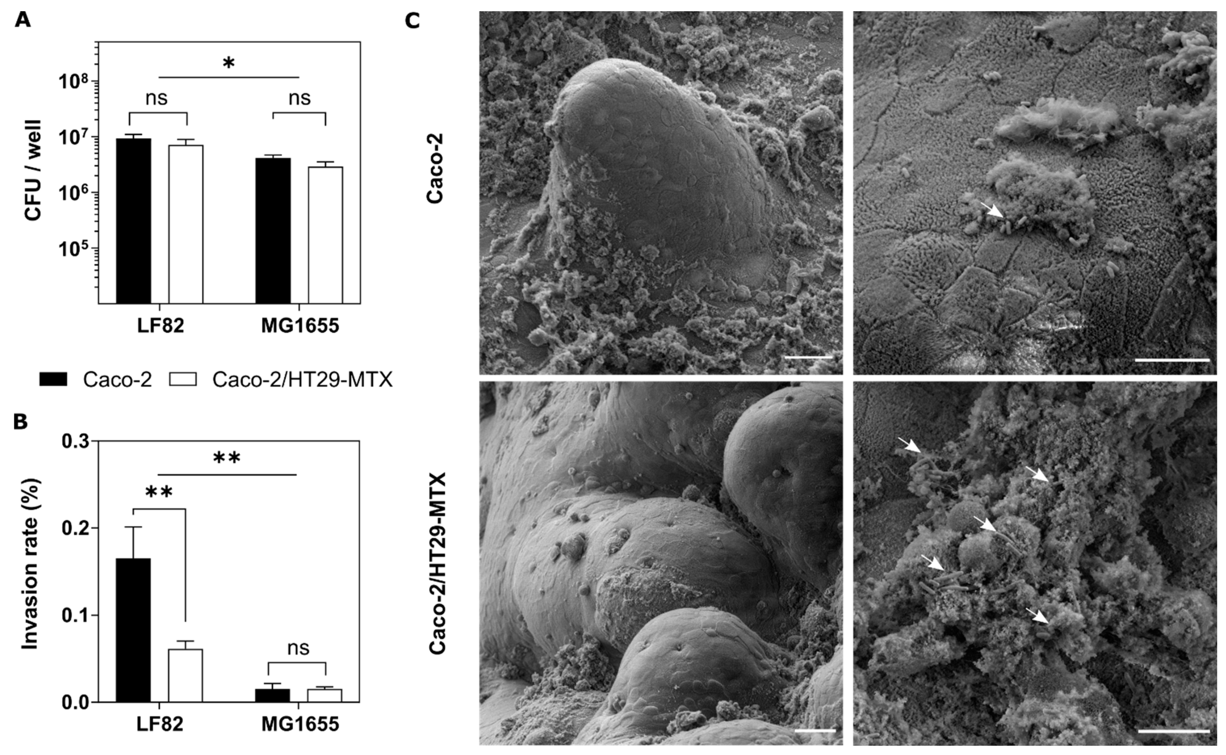 Pharmaceutics 14 01552 g003