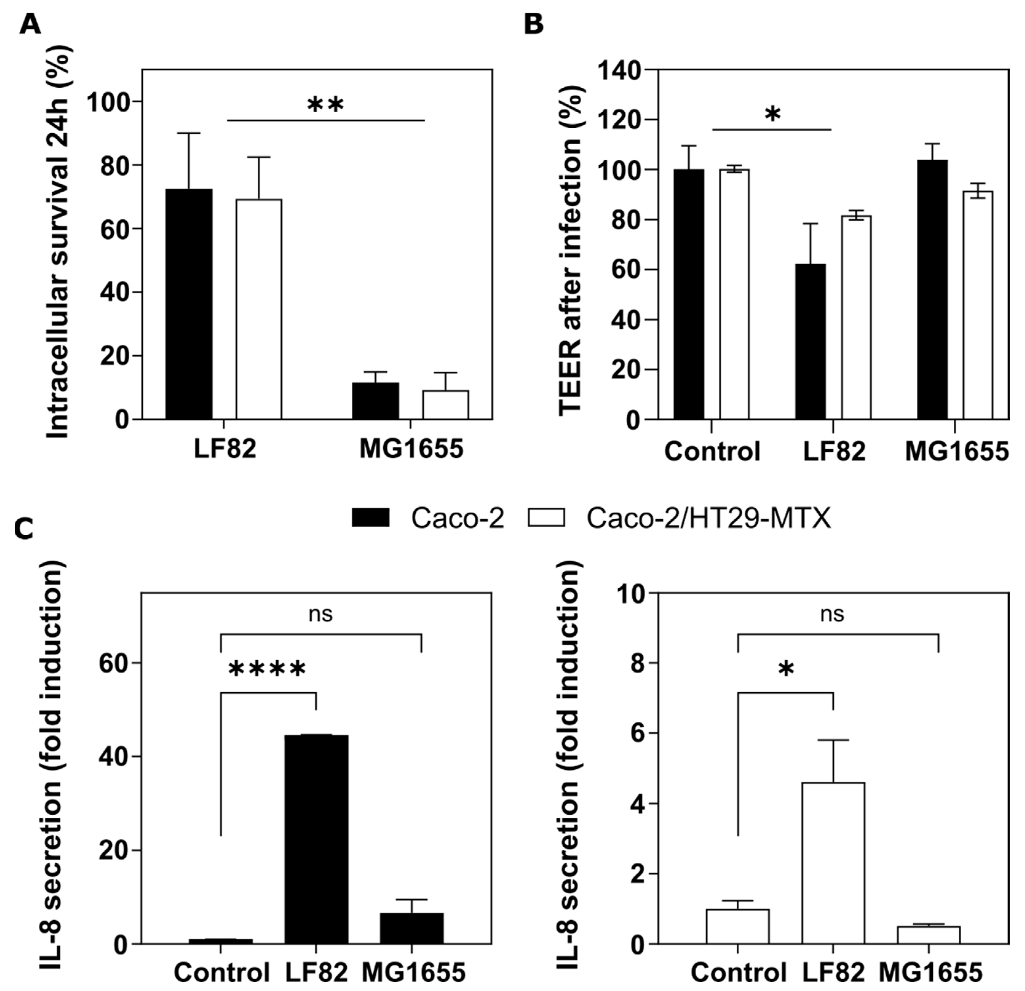 Pharmaceutics 14 01552 g004